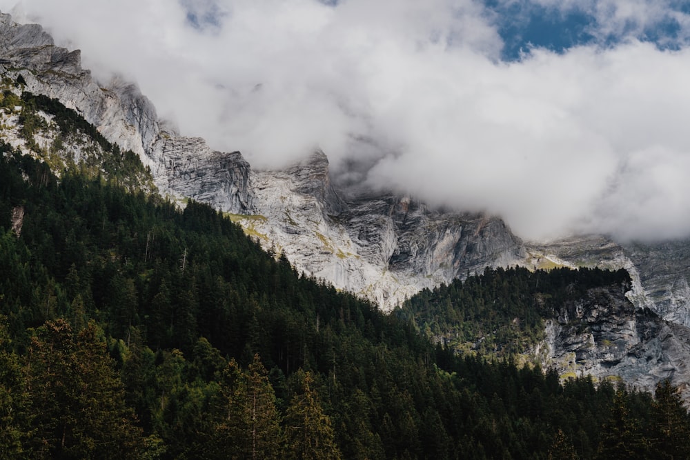 a mountain with trees and clouds