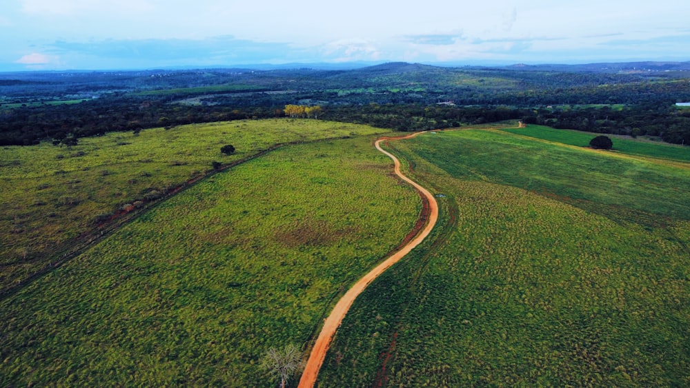 a view of a lush green field