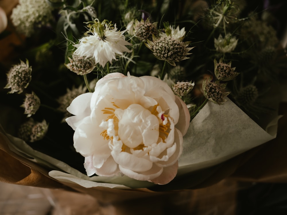 a close up of a flower