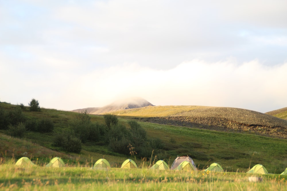 a group of tents in a grassy field