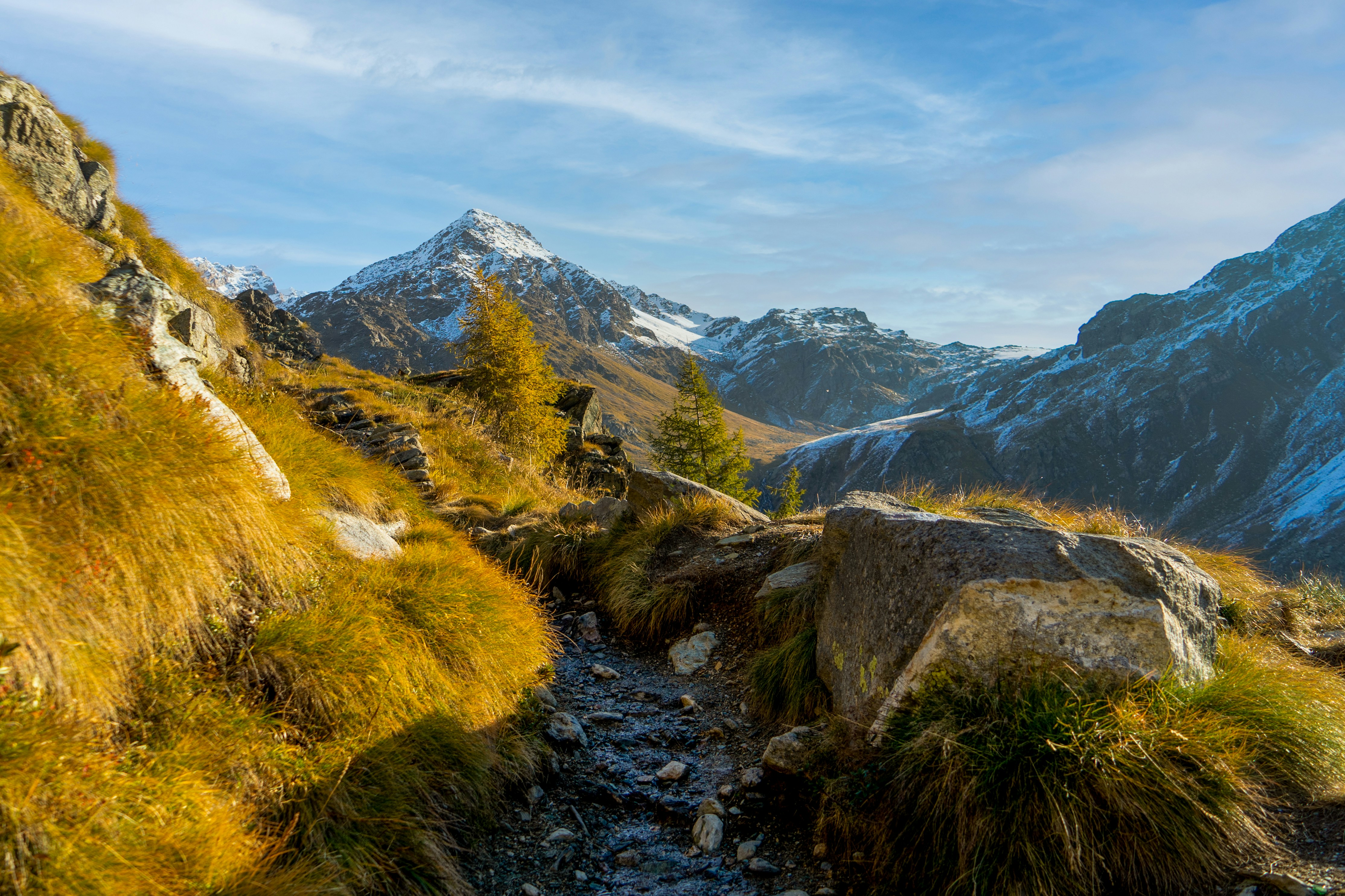 Photo by fabriziochiavari