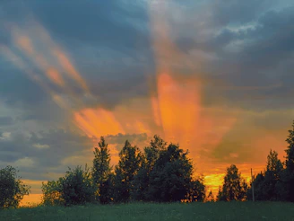 a field with trees and a cloudy sky