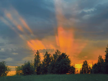 a field with trees and a cloudy sky