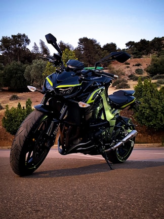 A stylish electric motorcycle displayed on a scenic road.