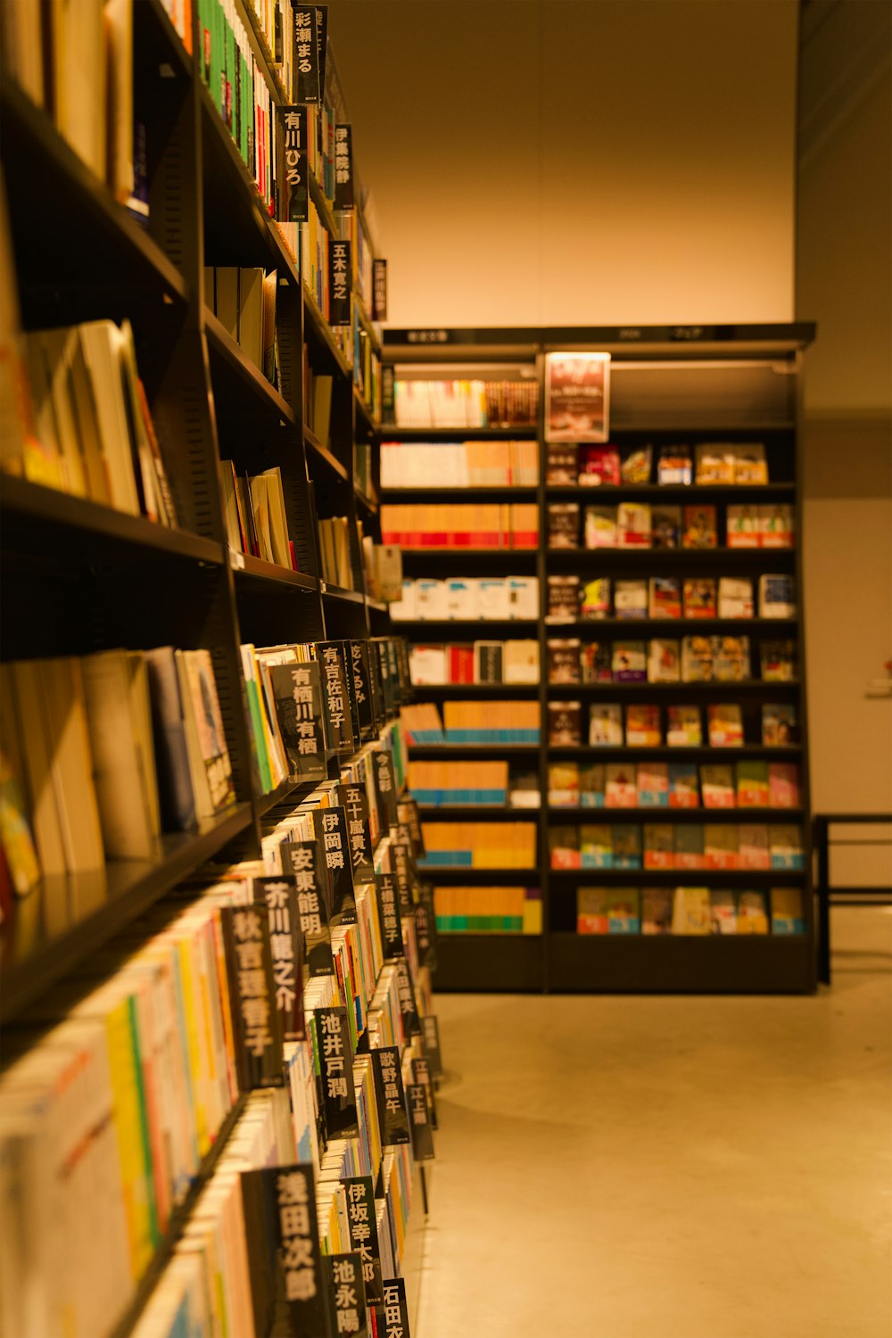 a library with shelves of books