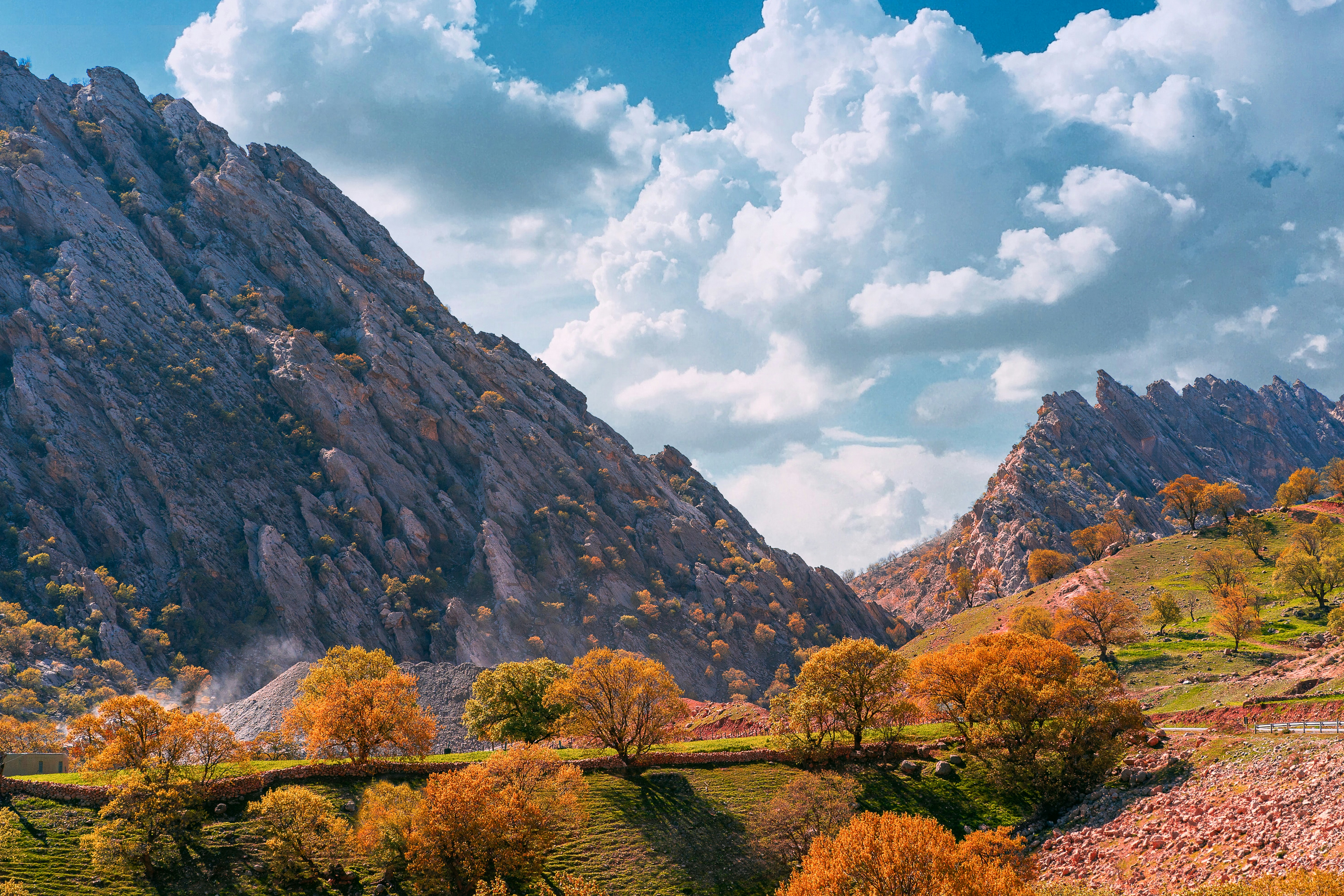 Will France win the 2026 FIFA World Cup?