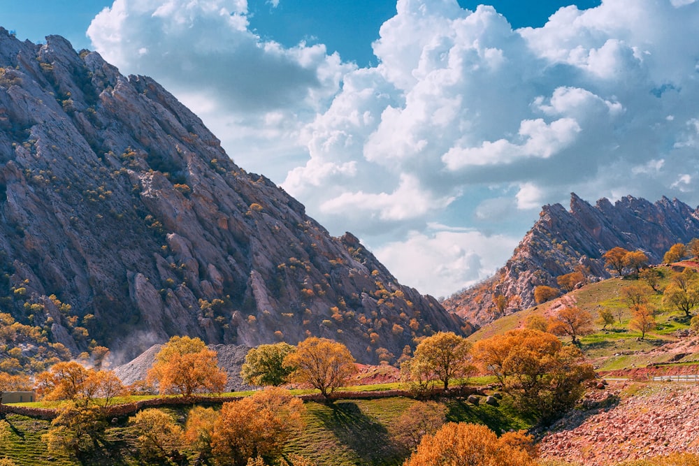 a landscape with trees and mountains