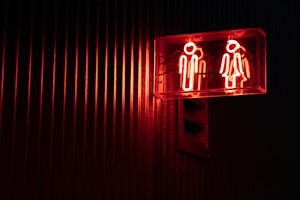 세계은행의 Gender Mainstreaming 정책