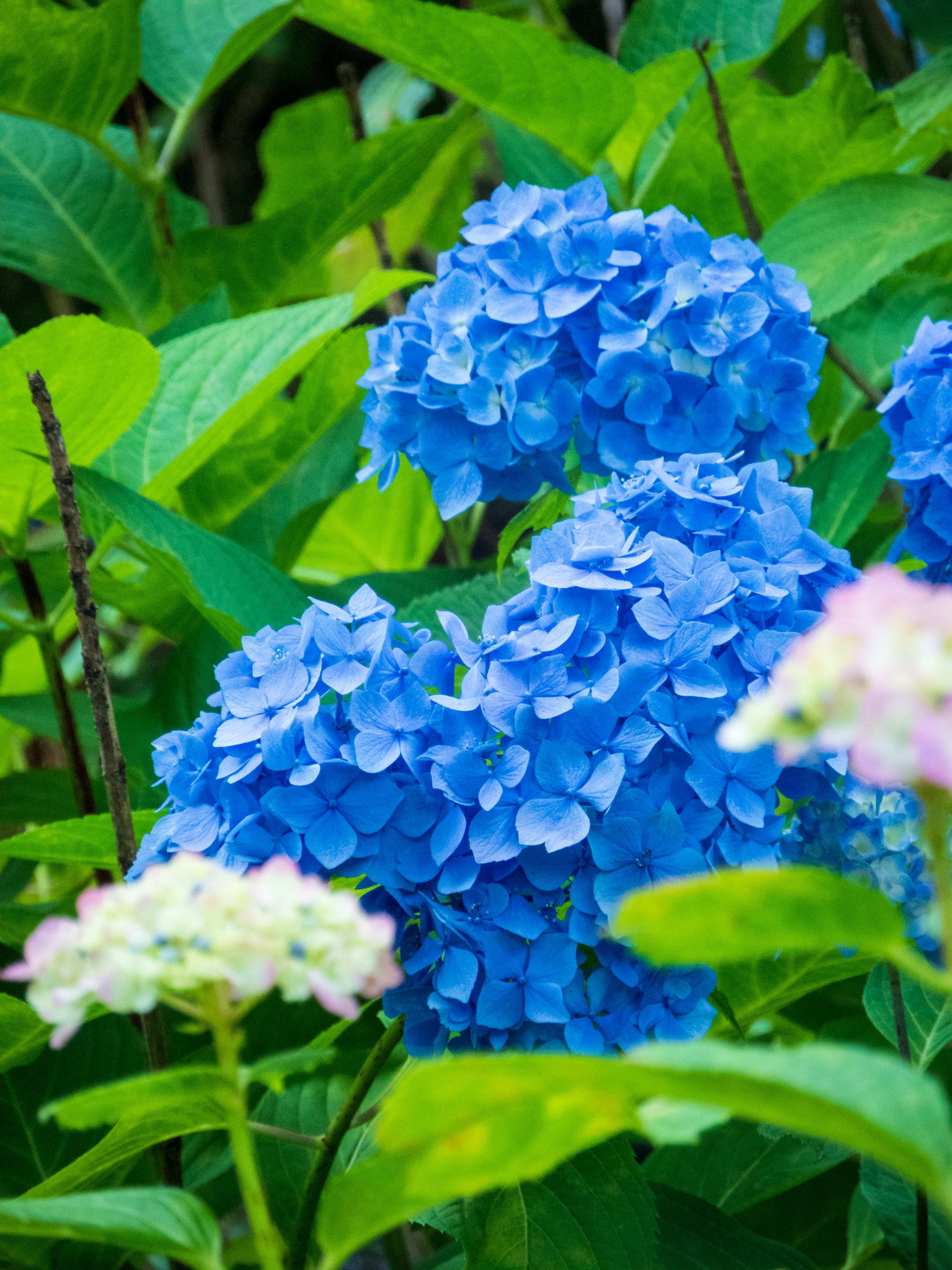 Photo by heppoko_yama