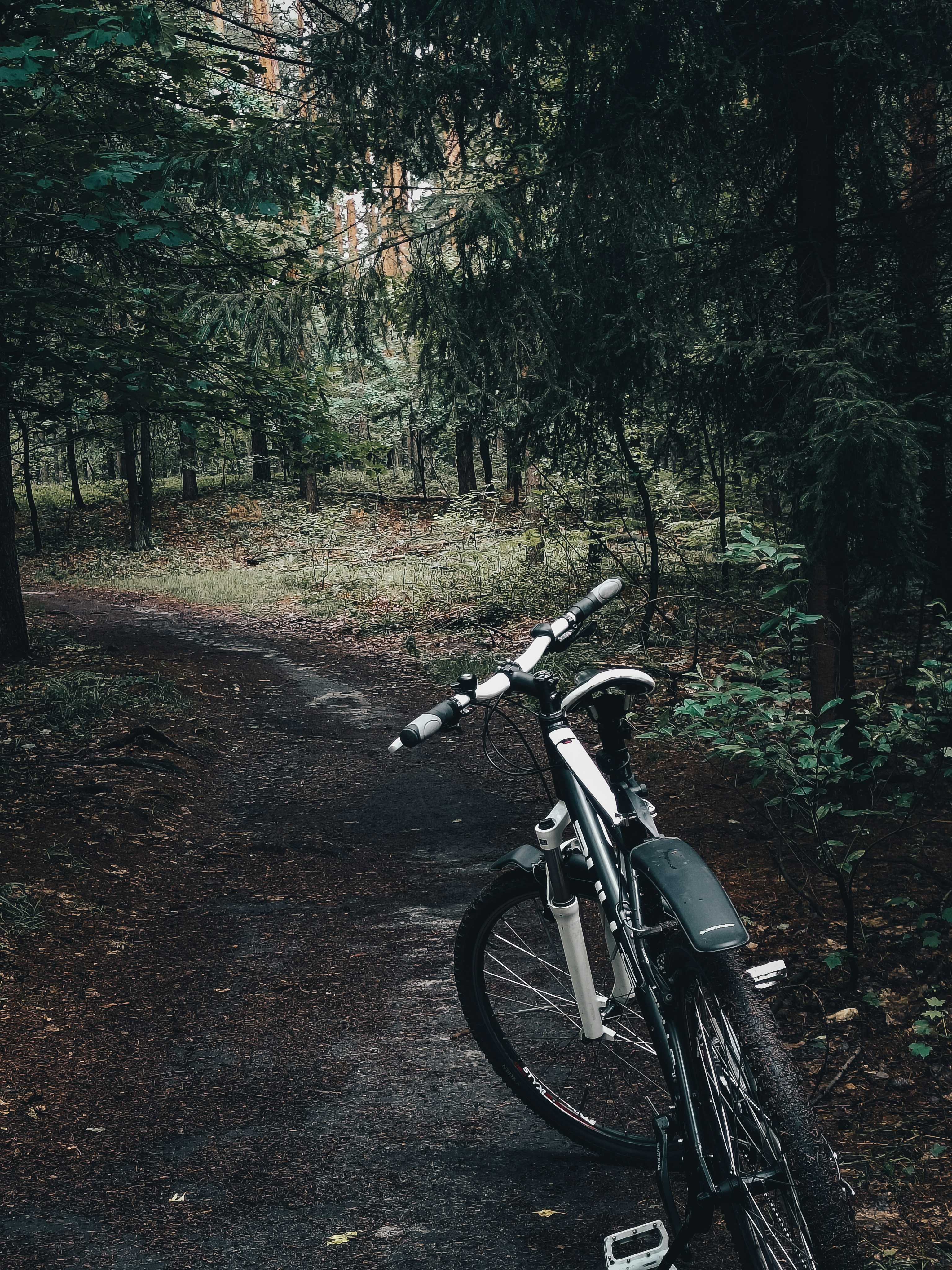 Photo by sprucejpg