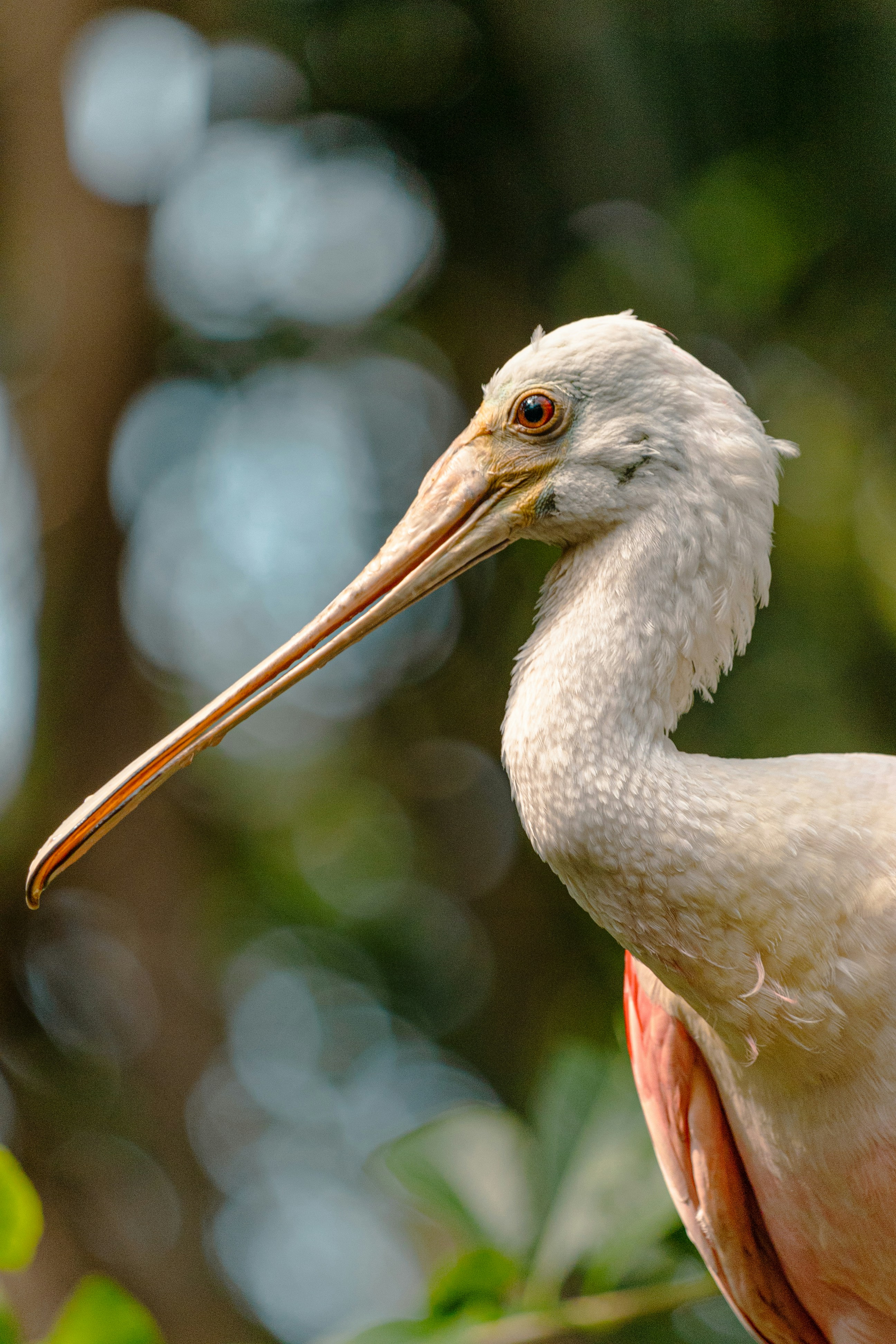 Photo by andspi_photography