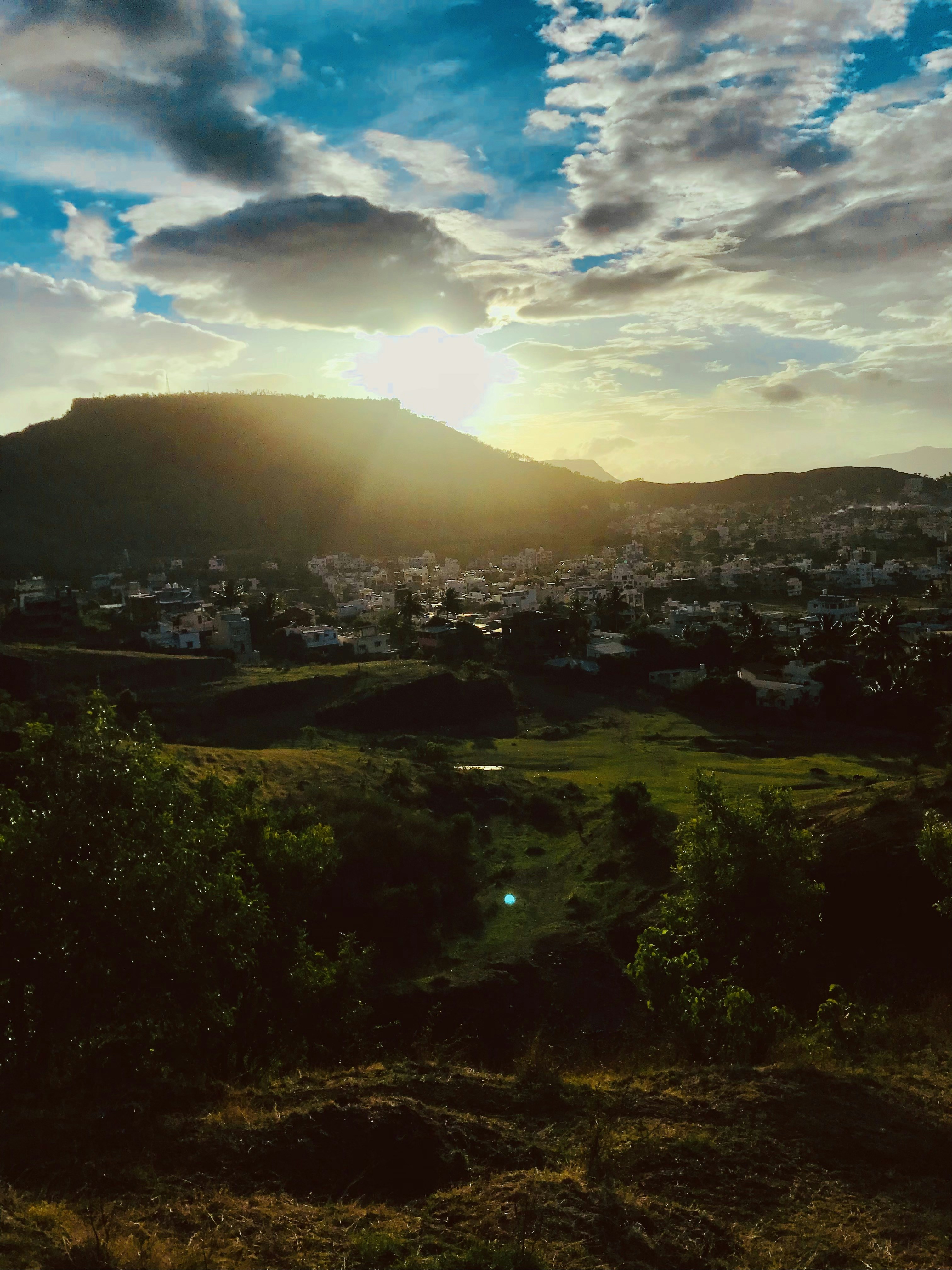 uma paisagem com árvores e colinas