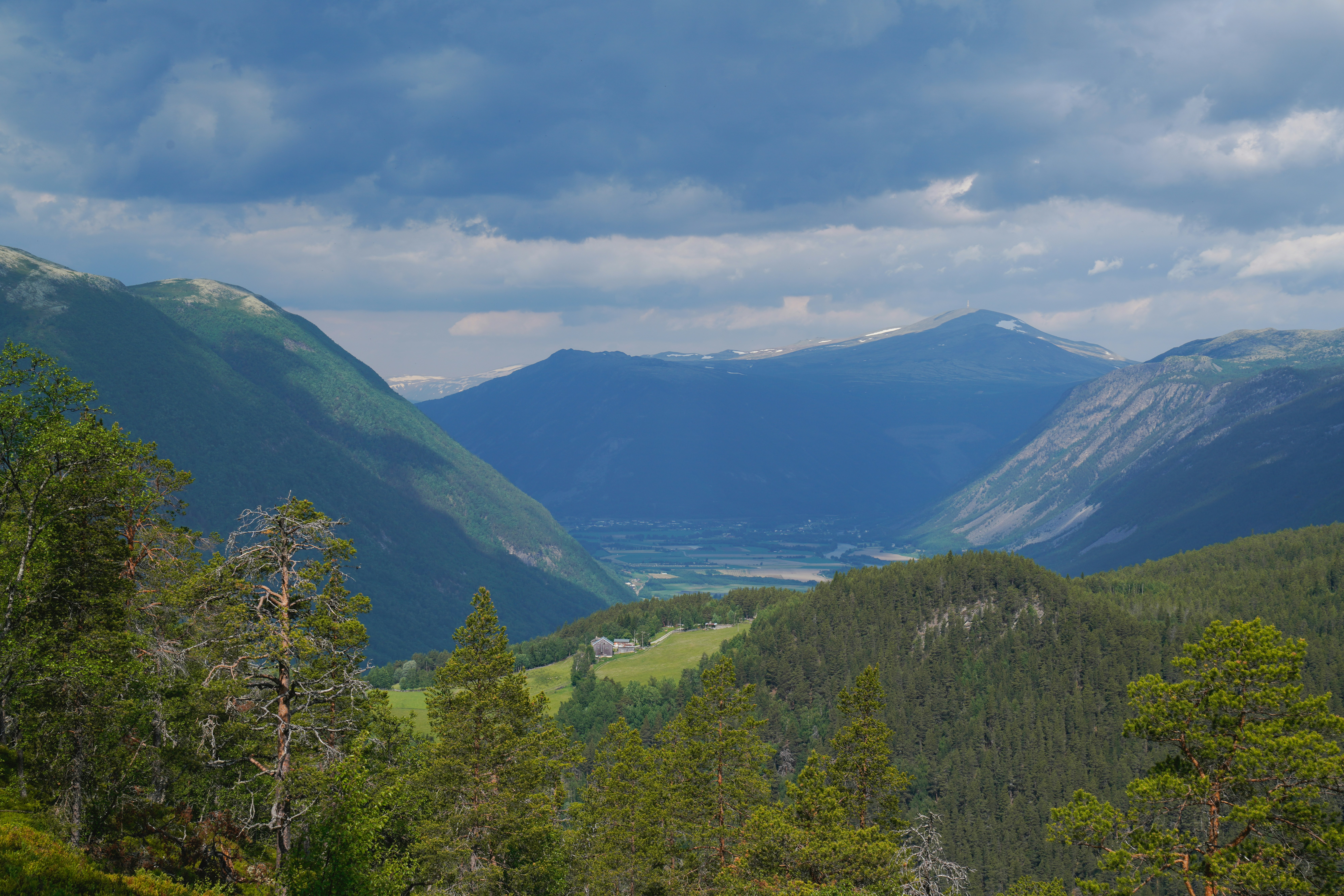 Photo by nihongraphy2