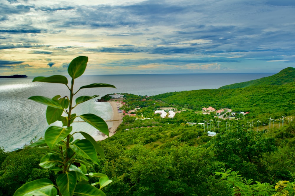 a green hillside with houses and trees