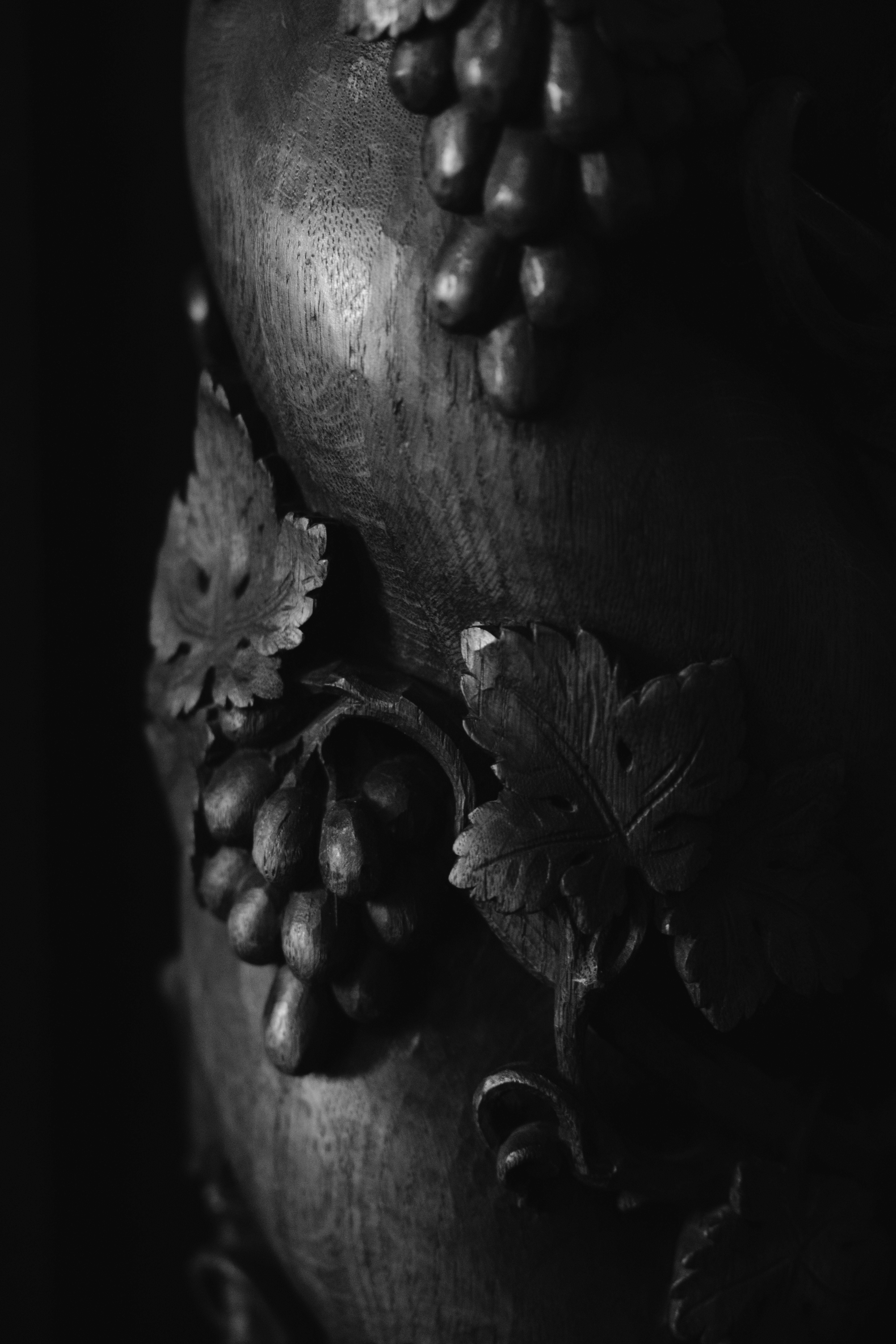 close-up of a human bone