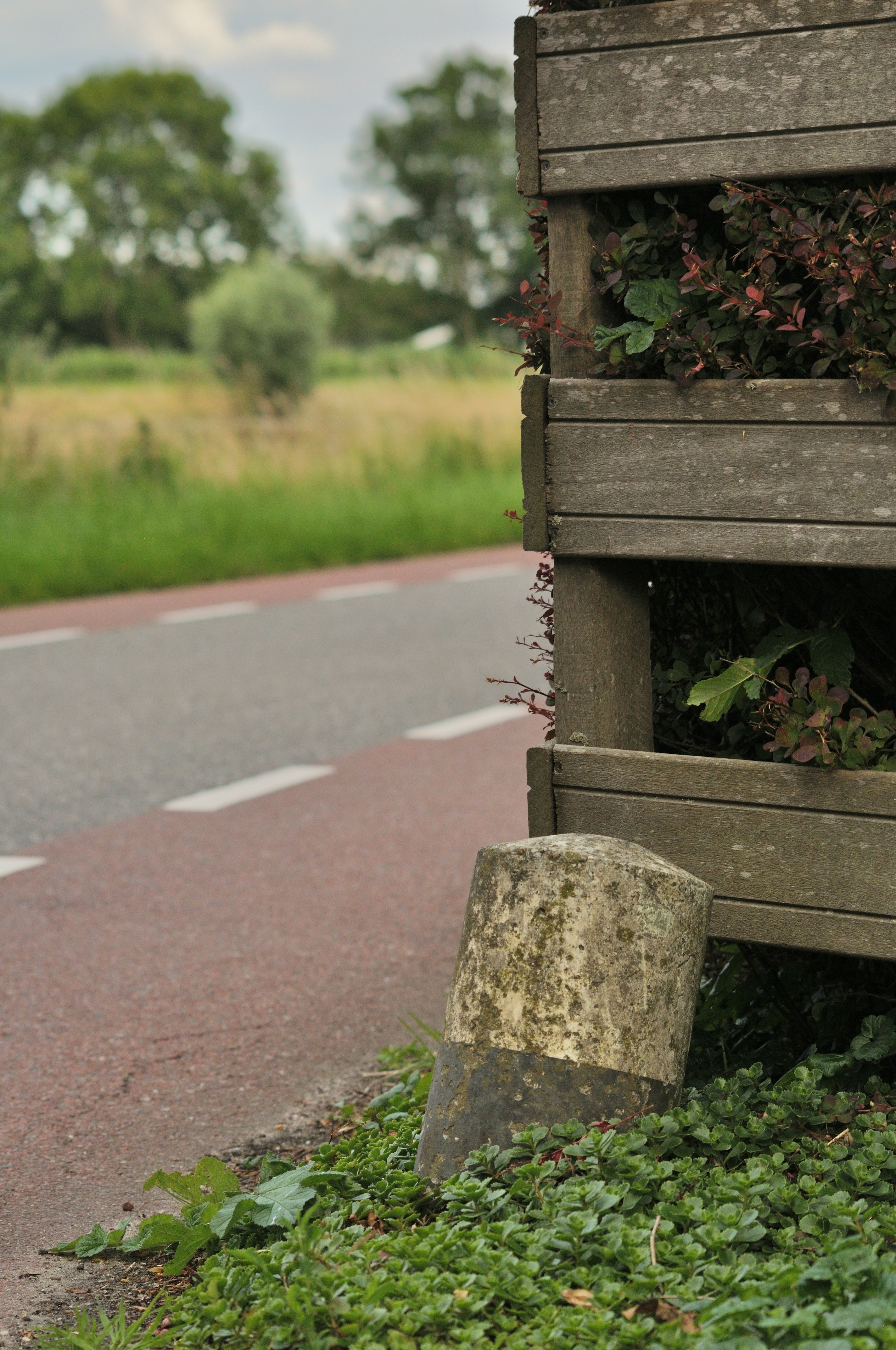 a row of wooden benches