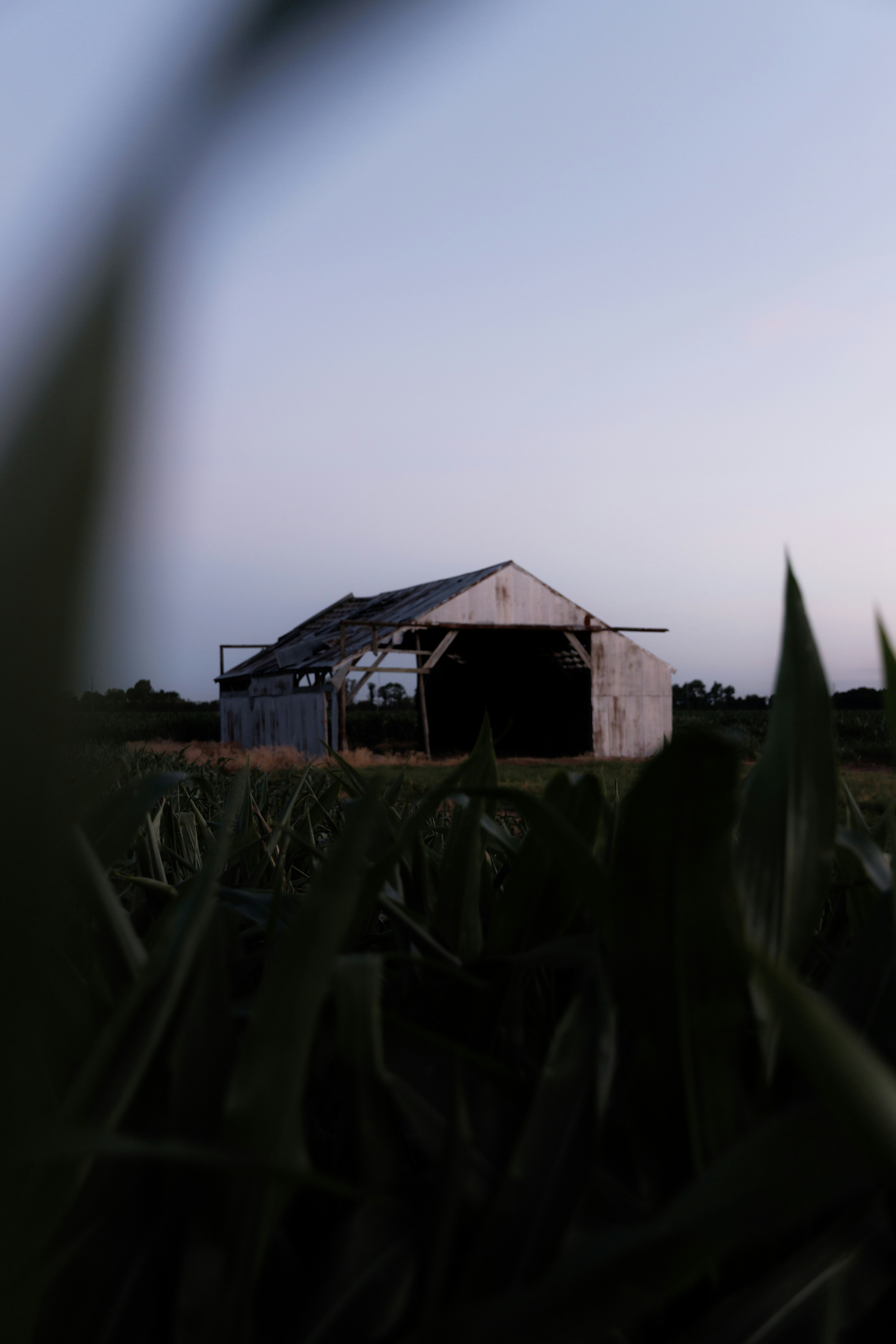 Photo by johnihreniuc