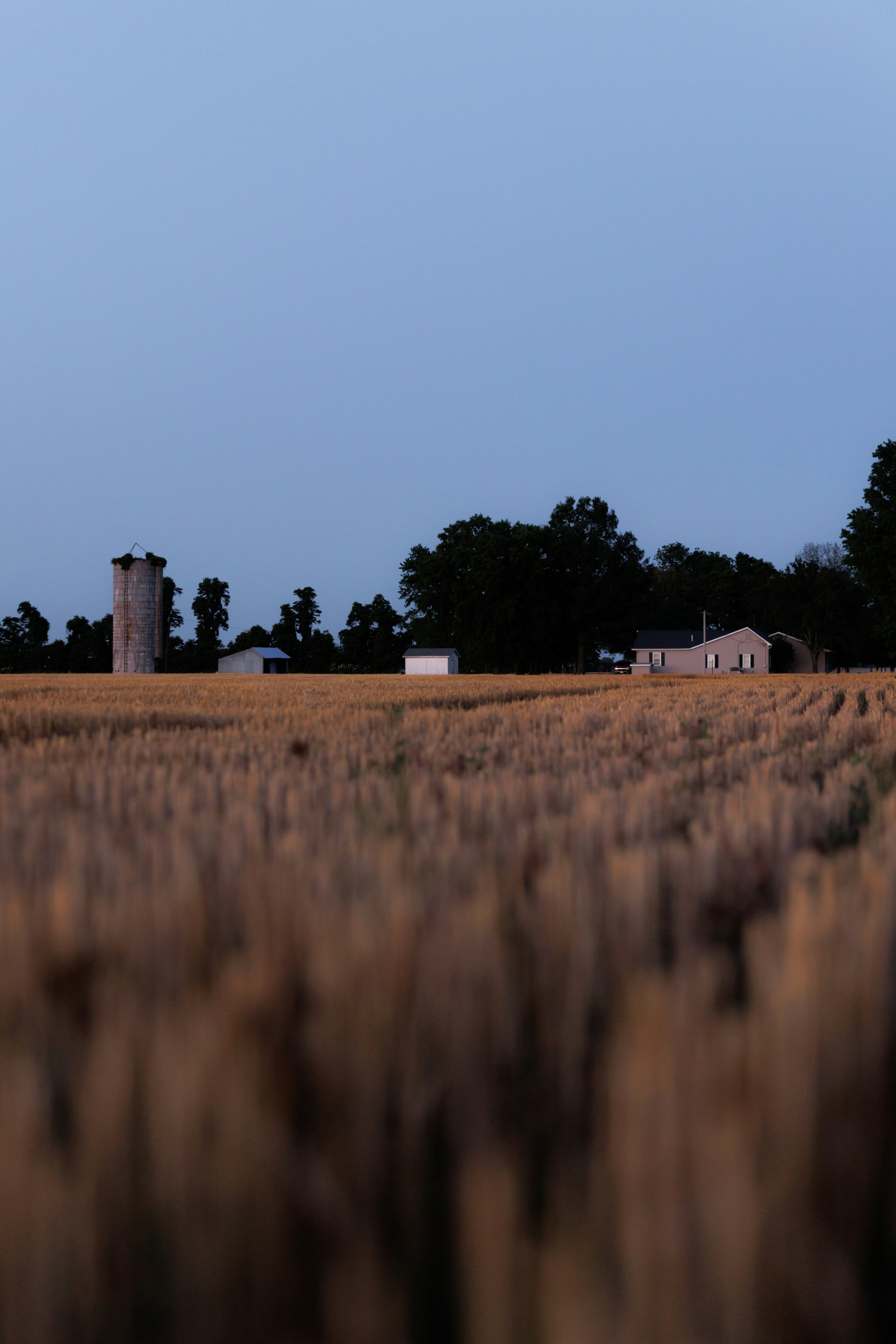 Photo by johnihreniuc