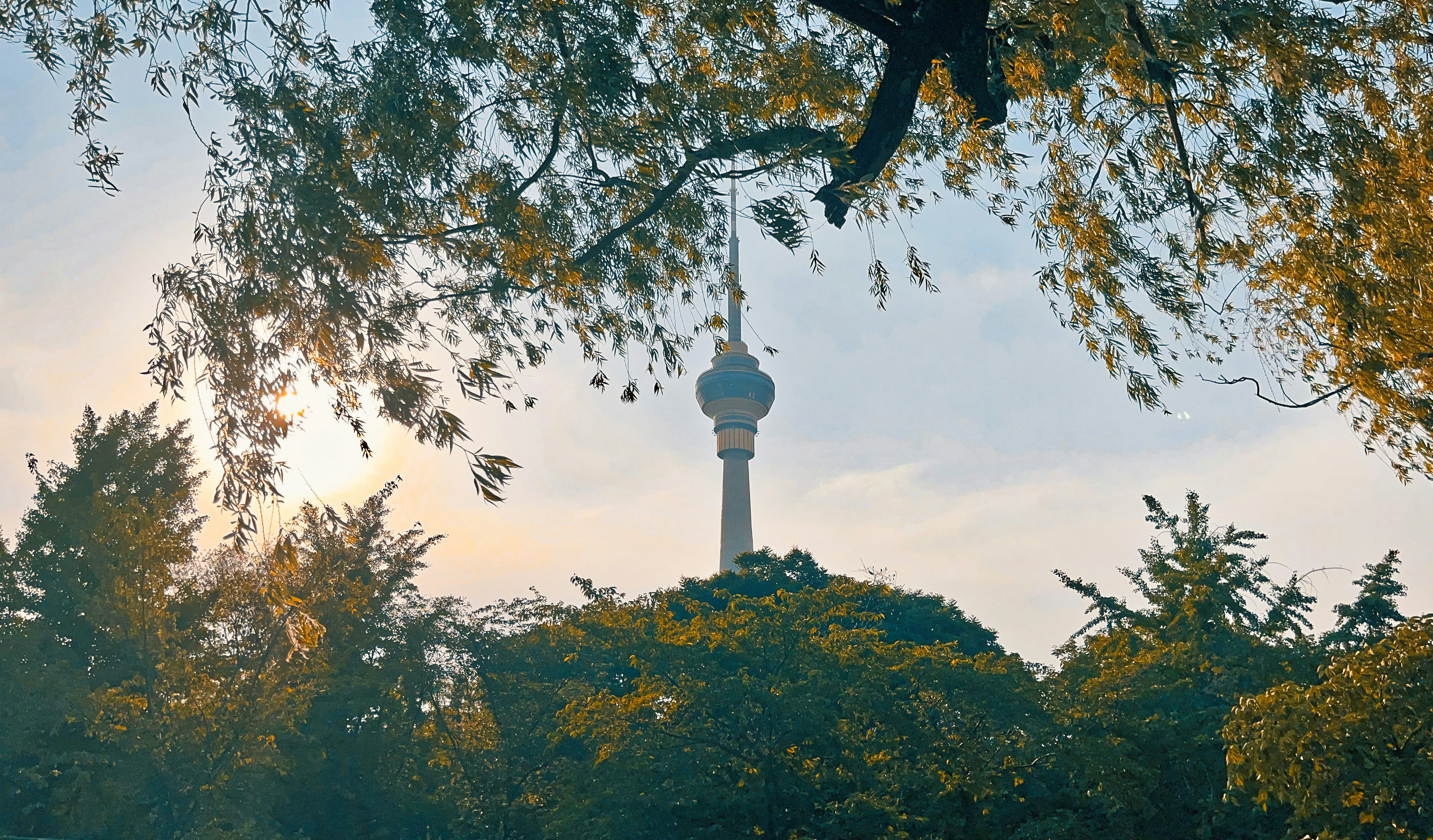 a tall tower behind trees - Beijing