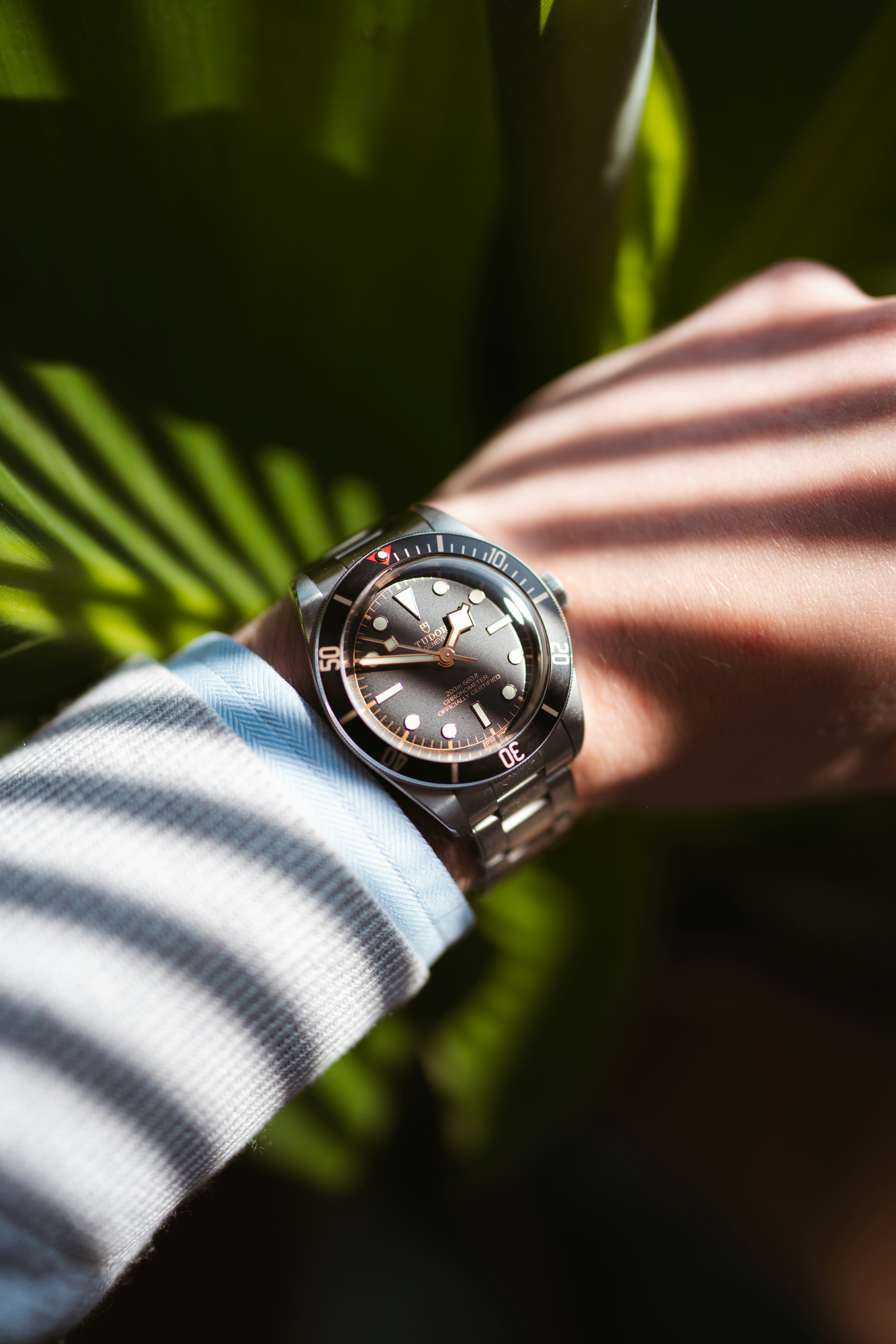 Photo by brunovdkraan