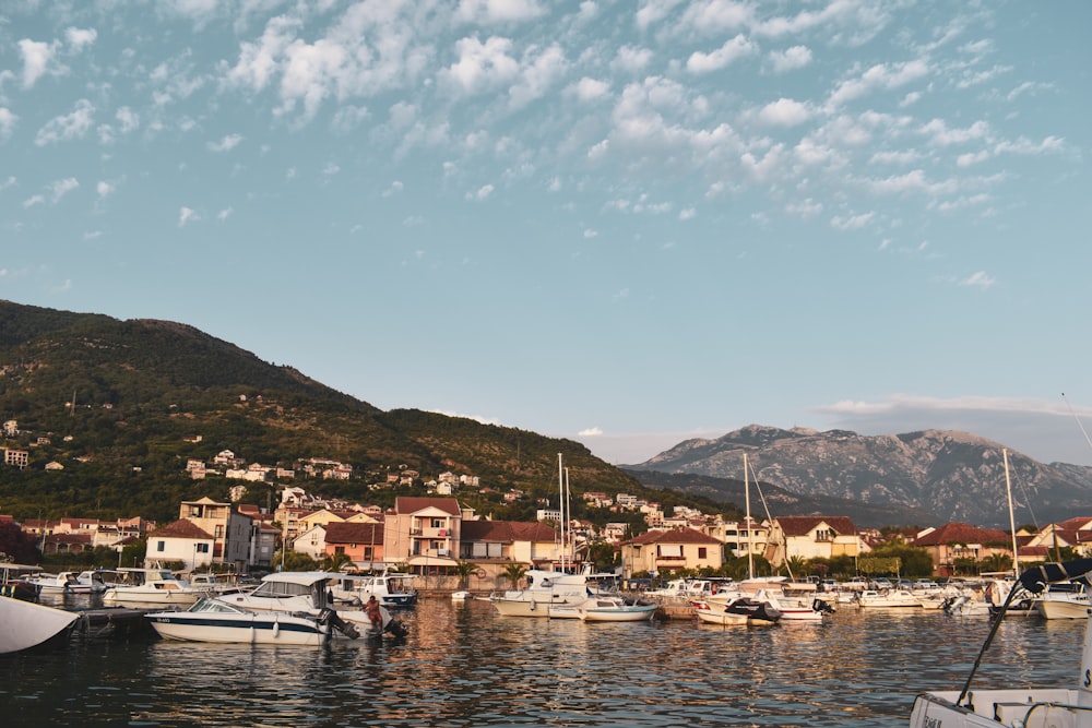 boats in a harbor