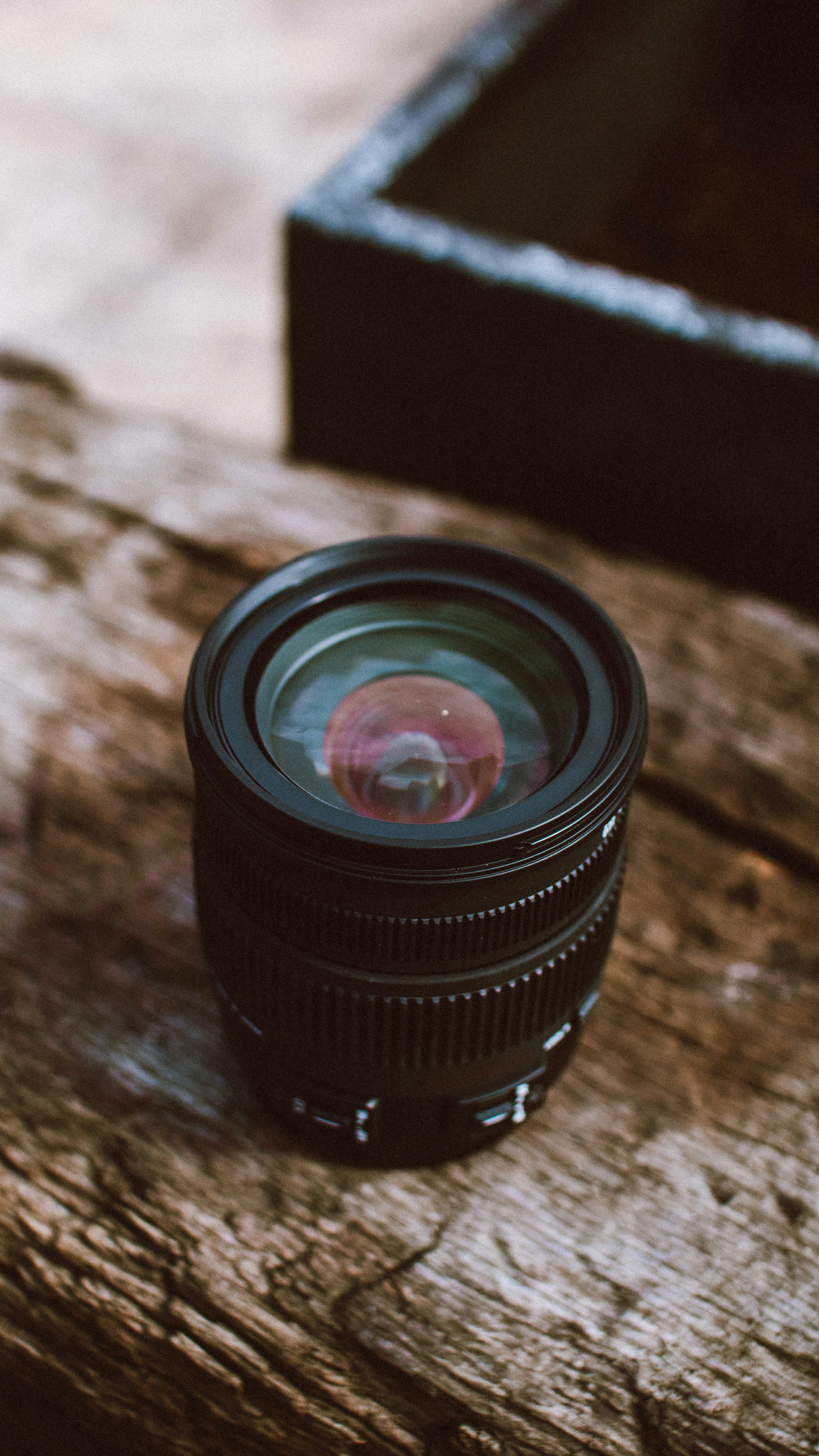 Photo by lanathegraves