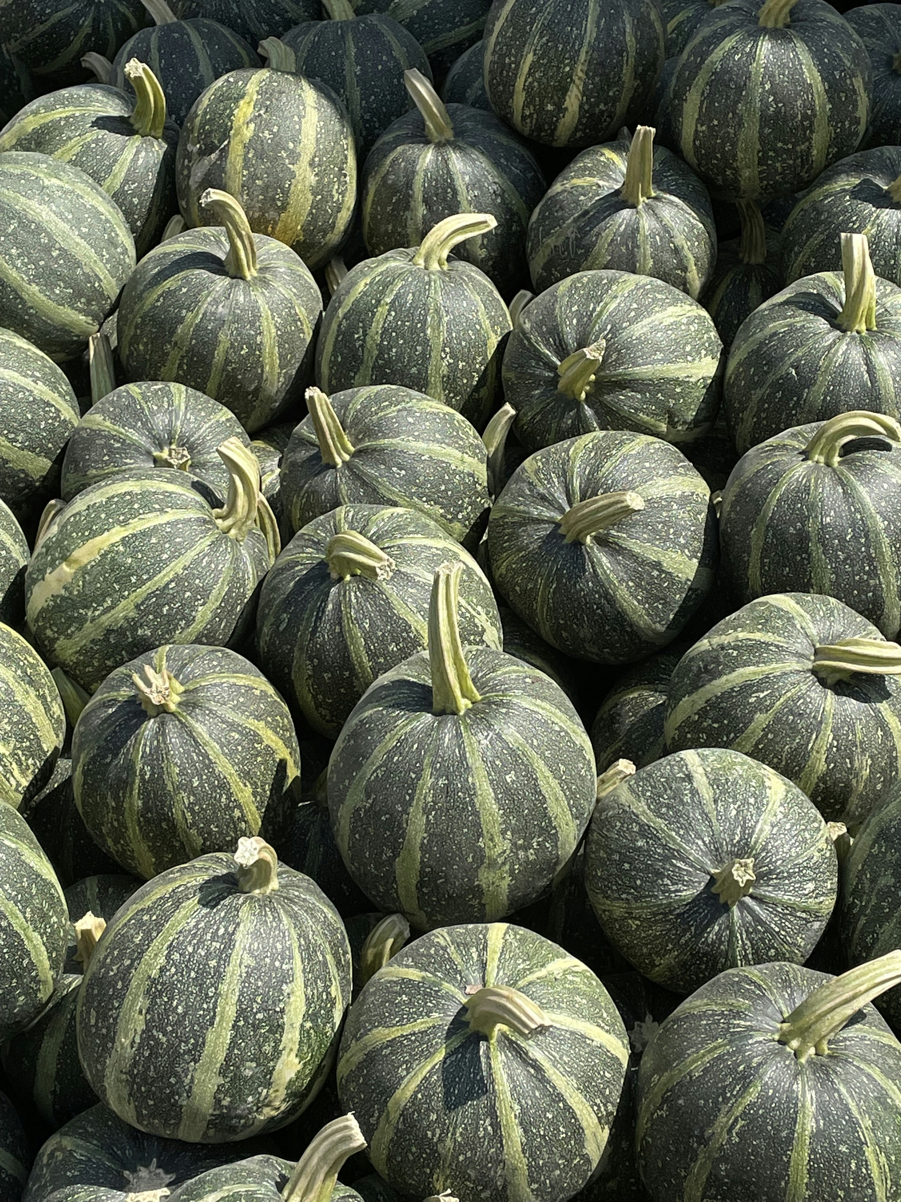 Photo by abdurokhman_7