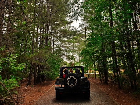 A black Jeep with its roof open driving along a narrow path surrounded by dense forest. Tall trees with vibrant green leaves tower above, creating a canopy effect. The path is composed of soil and small rocks, giving it a natural look. A person in the Jeep appears to be enjoying the ride, raising their arms toward the sky.