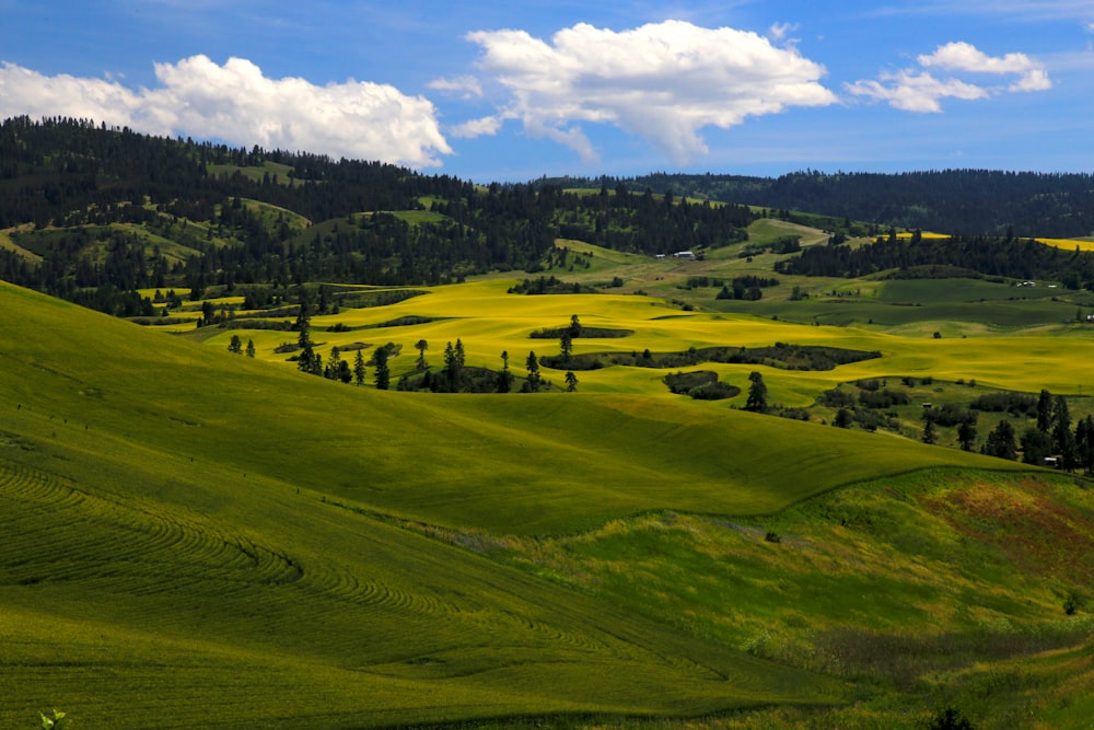 a green hilly landscape