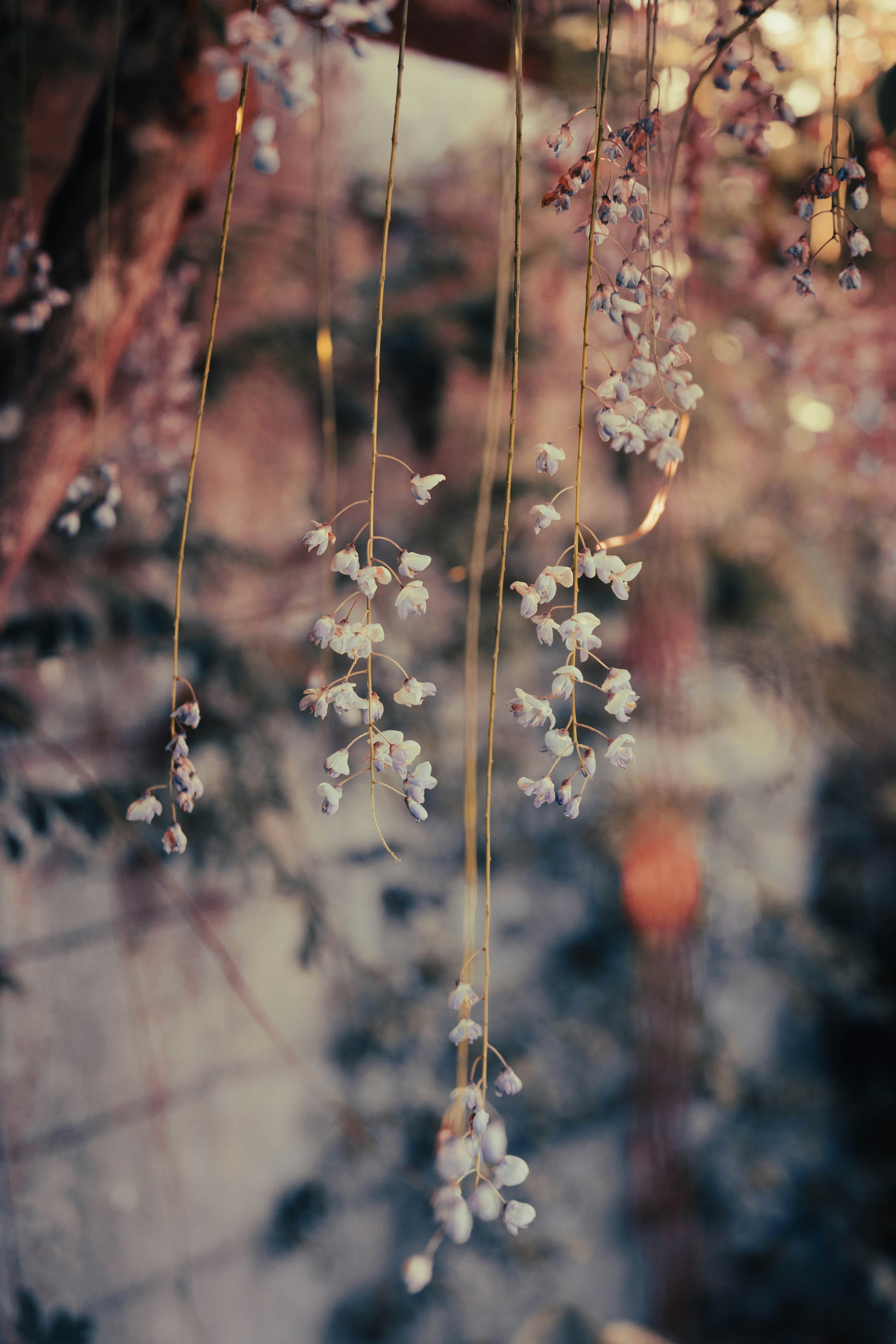 Photo by cropcontent