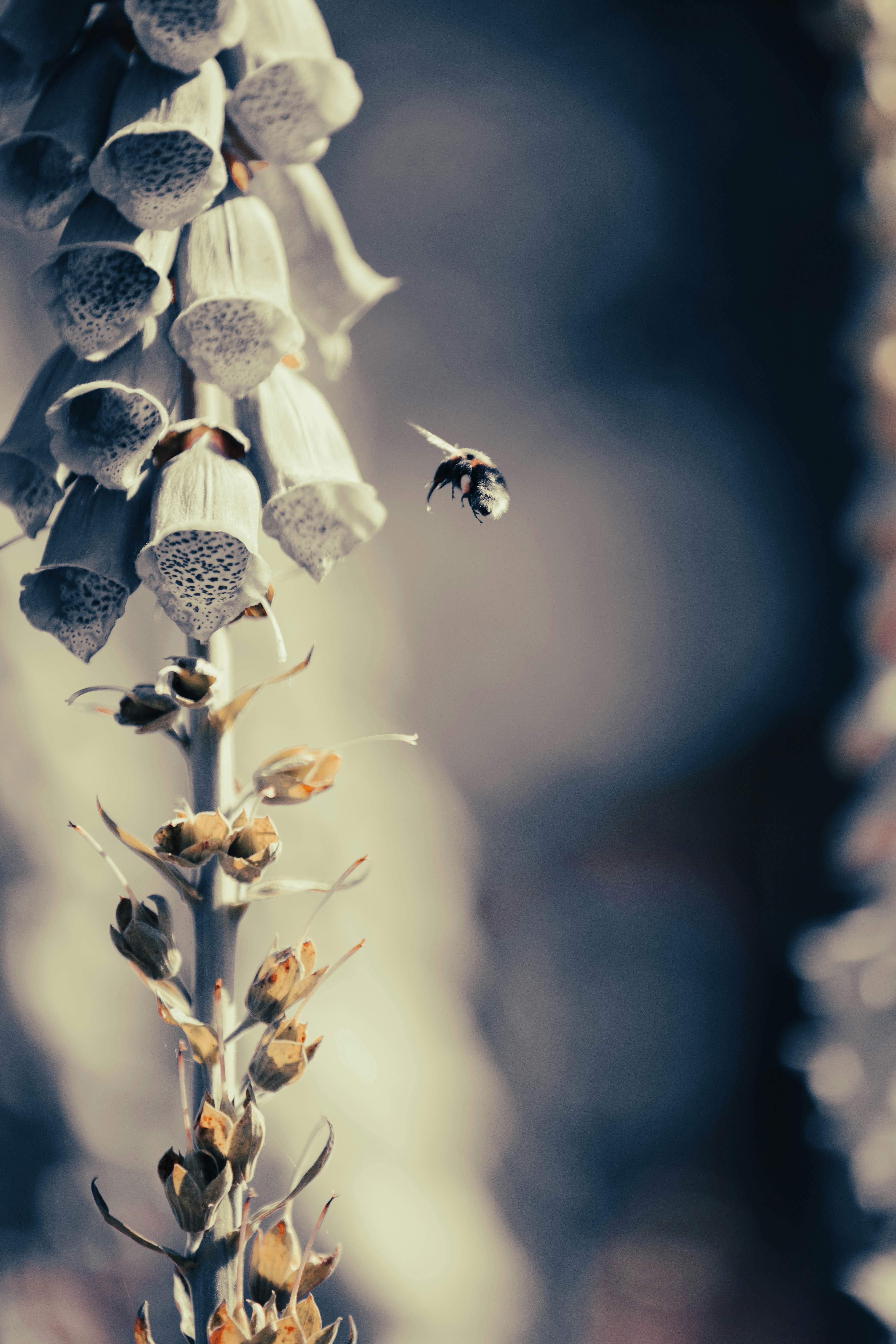 Photo by cropcontent