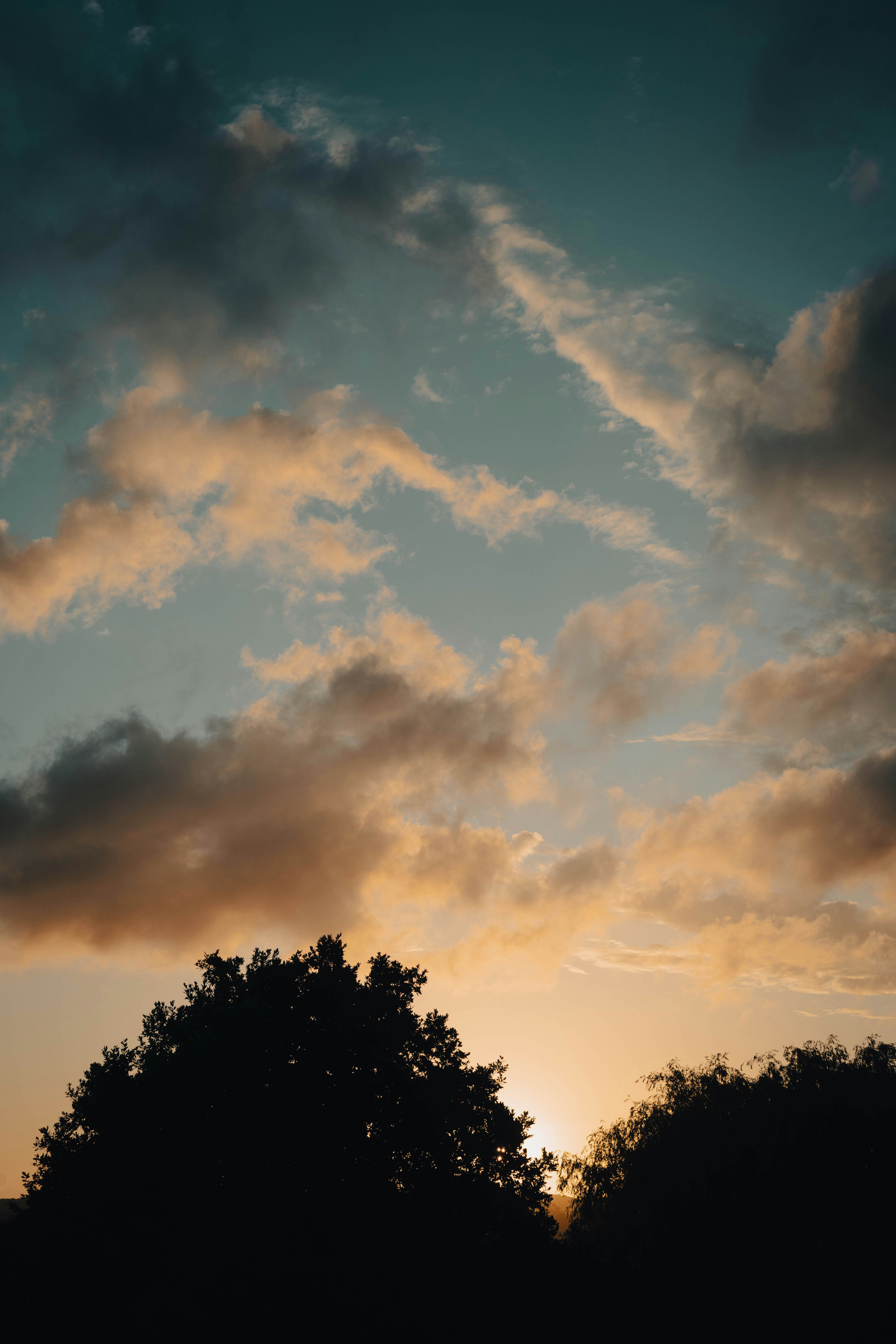 Photo by cropcontent