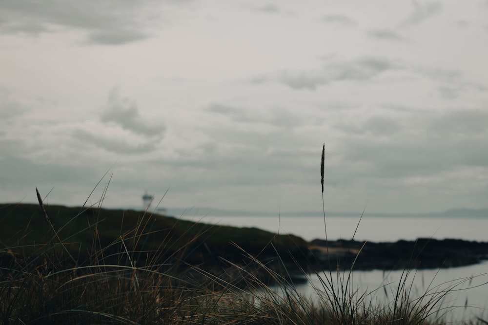 a grassy hill with a body of water in the background