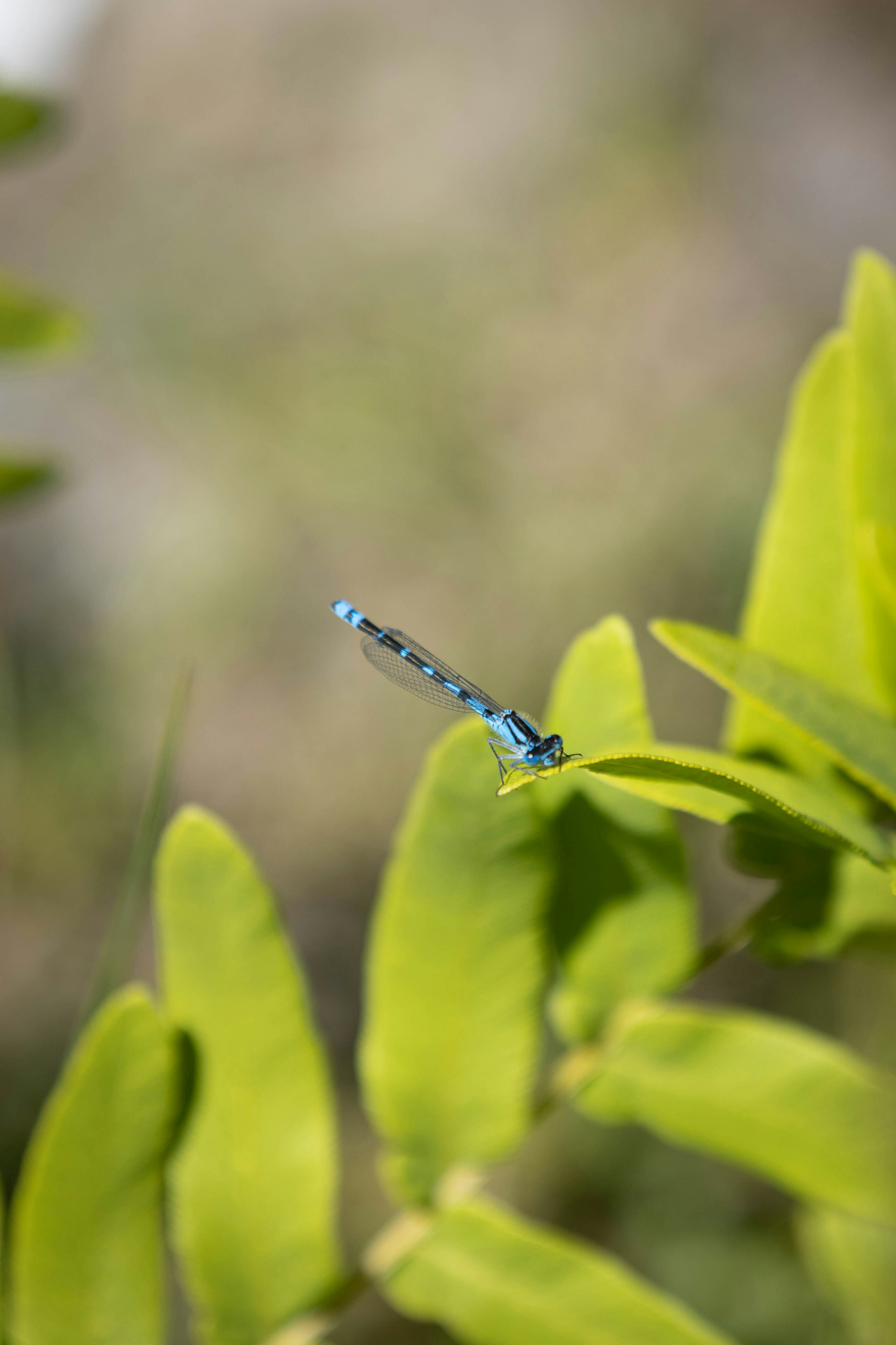 Photo by cropcontent