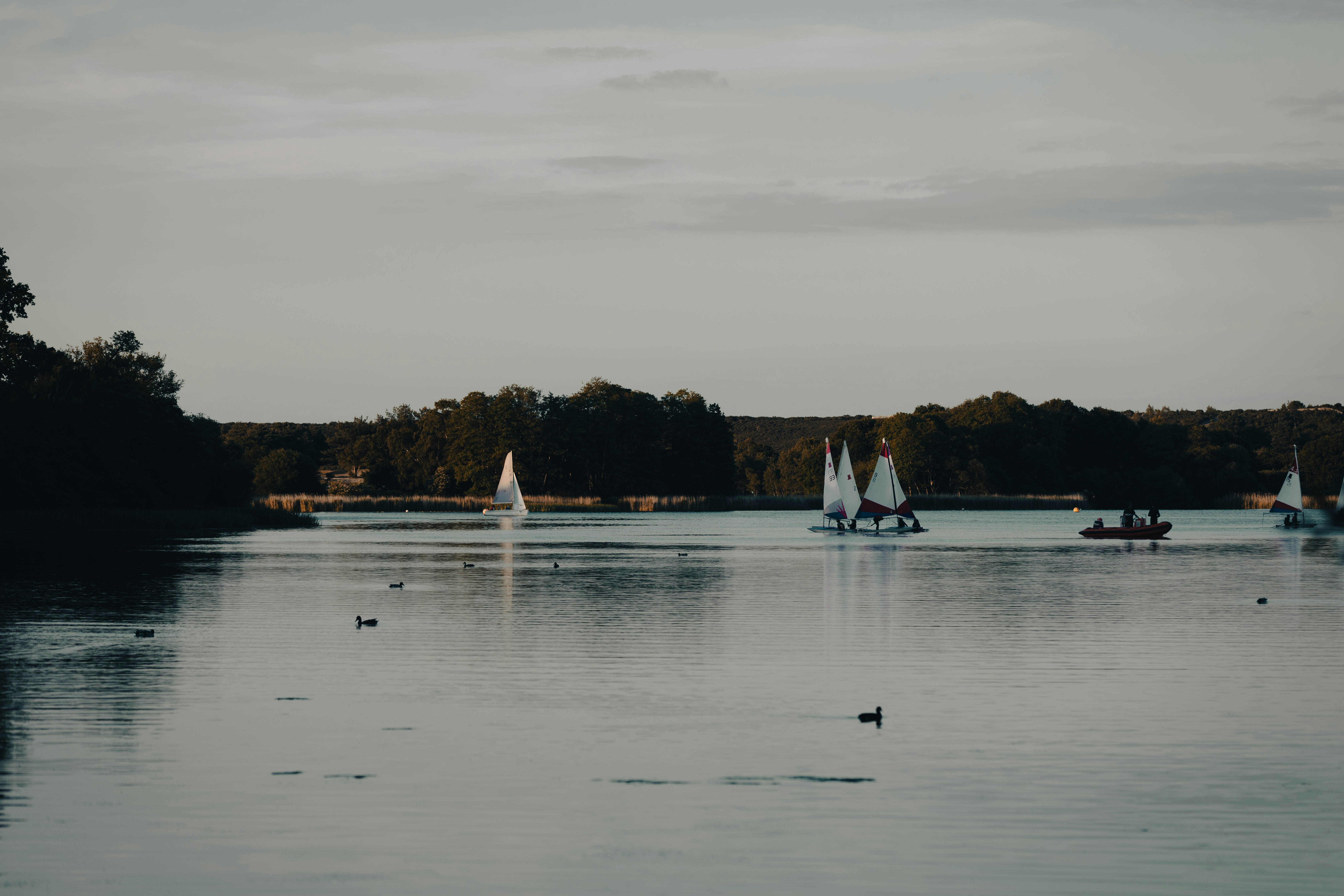 Photo by cropcontent