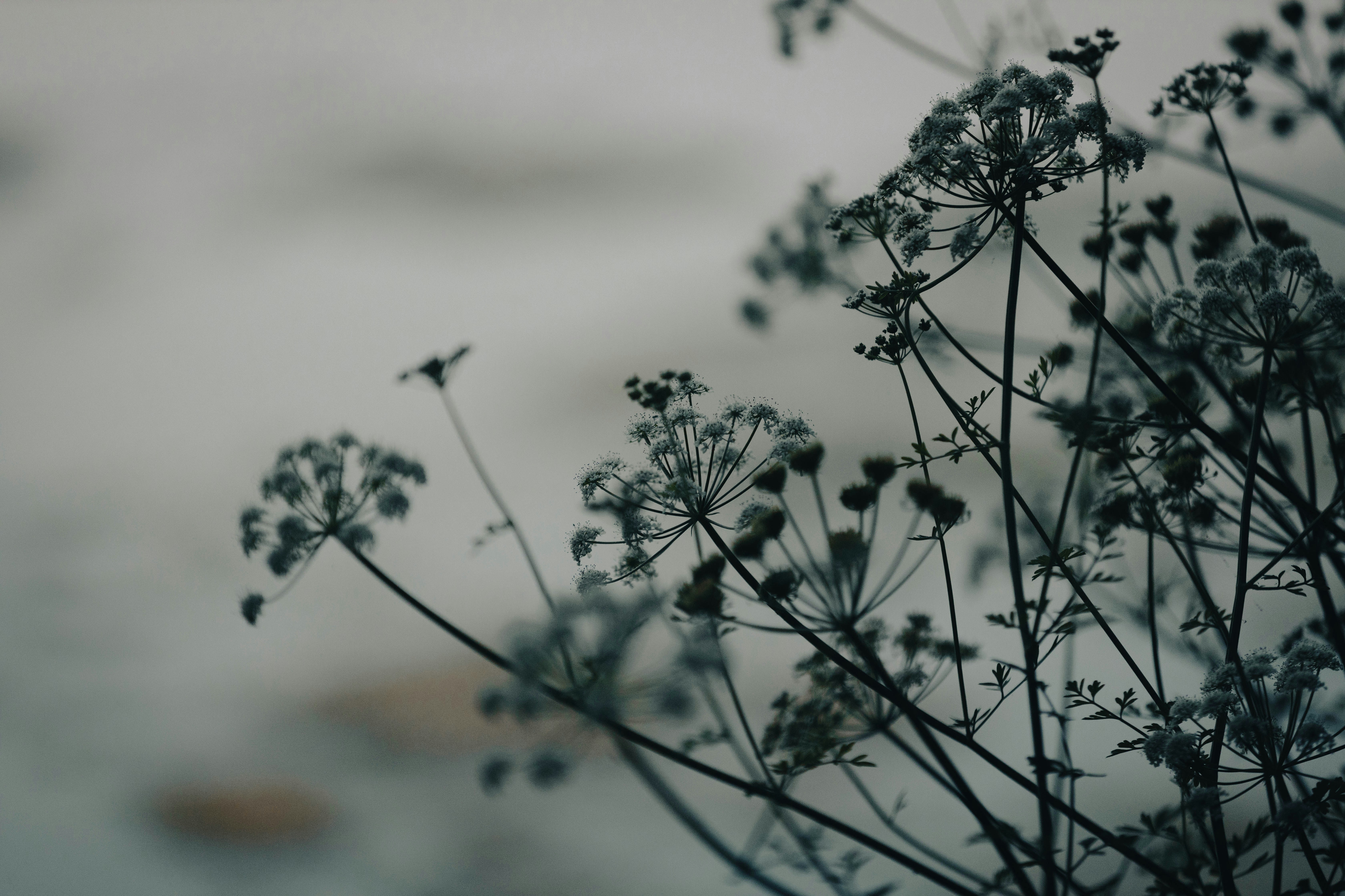 Photo by cropcontent