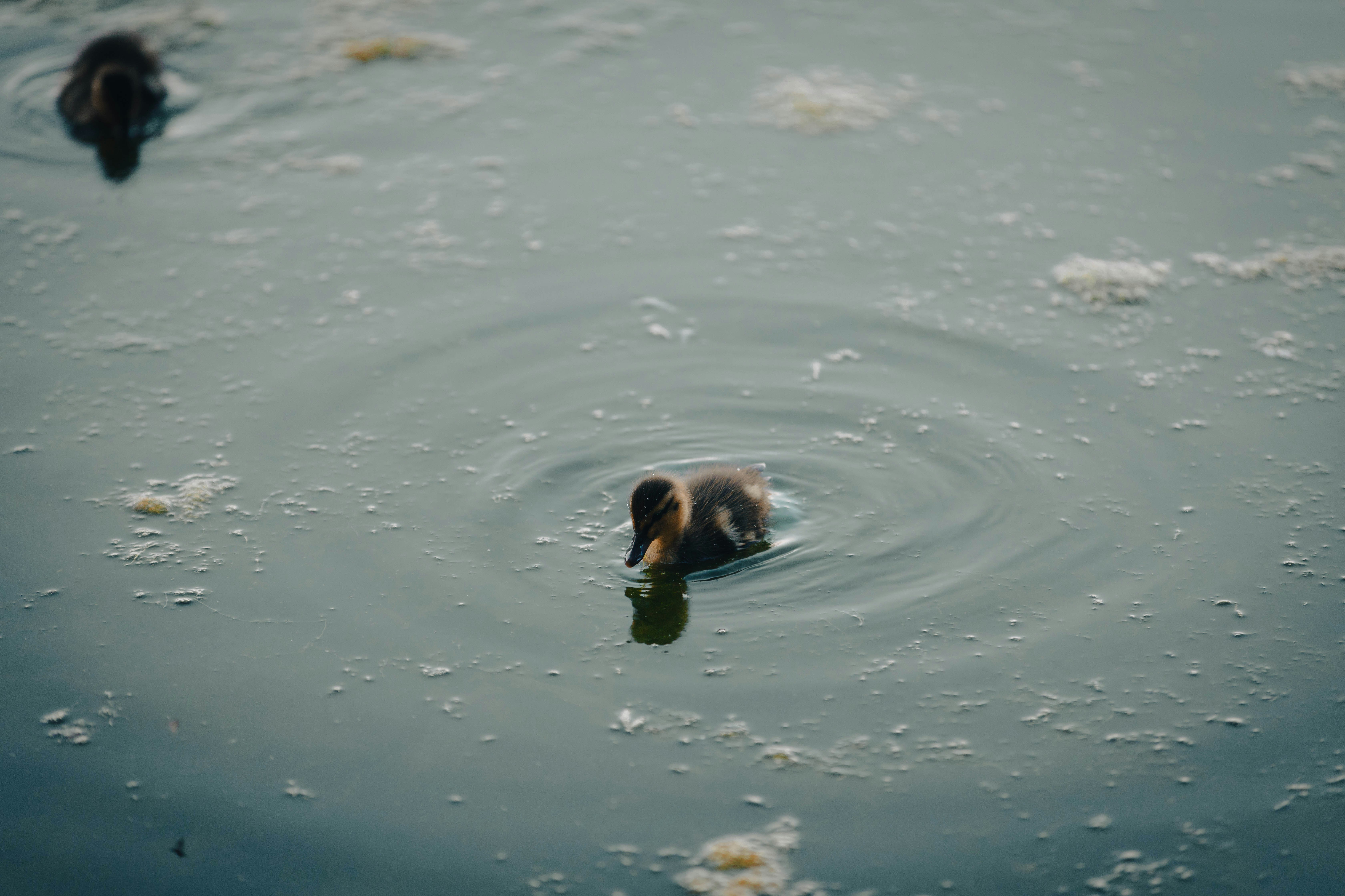 Photo by cropcontent