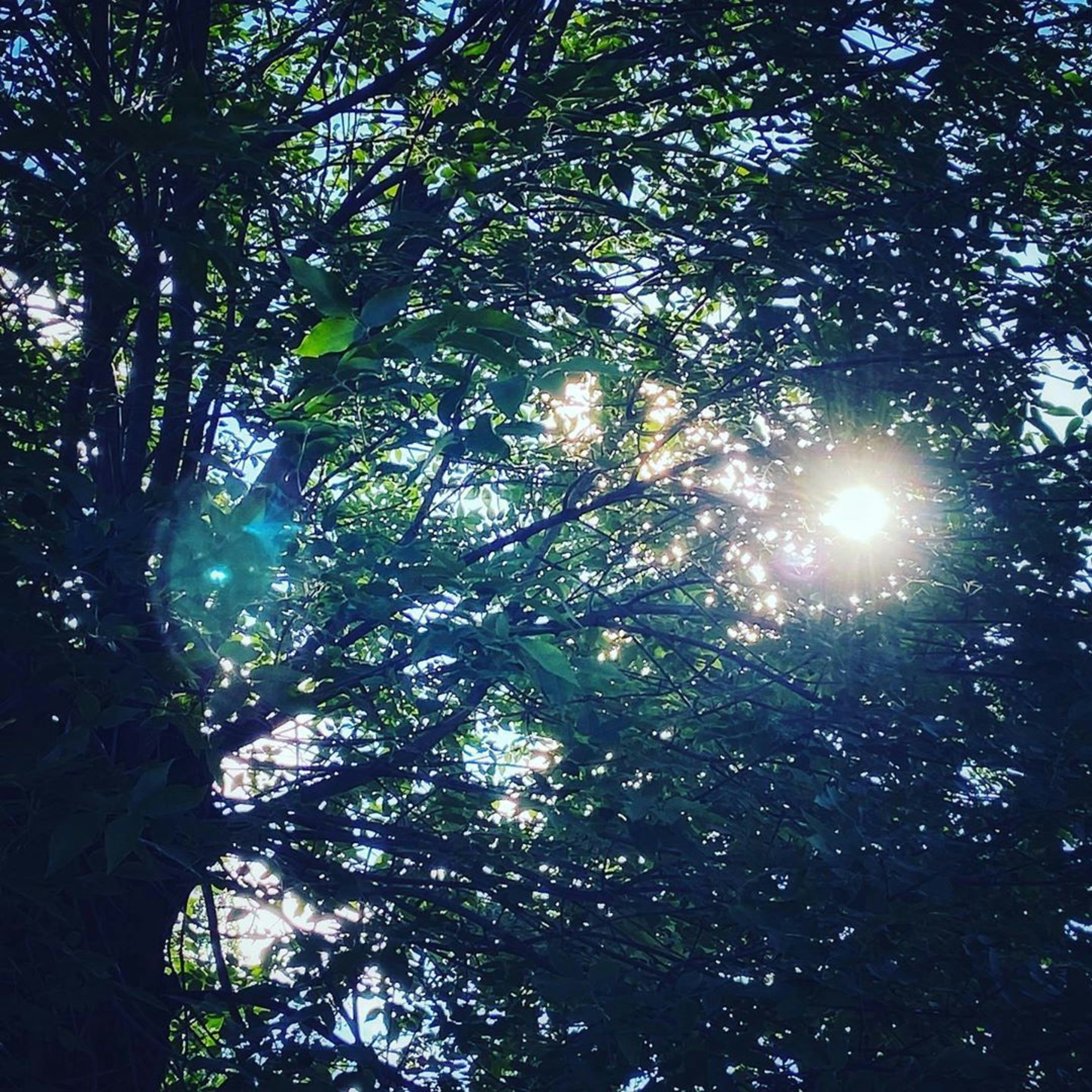 Photo by pics_studio