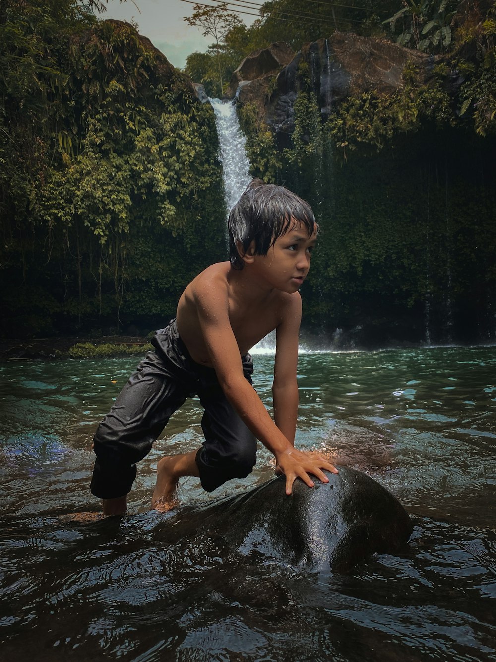 a boy playing with a dolphin in a river
