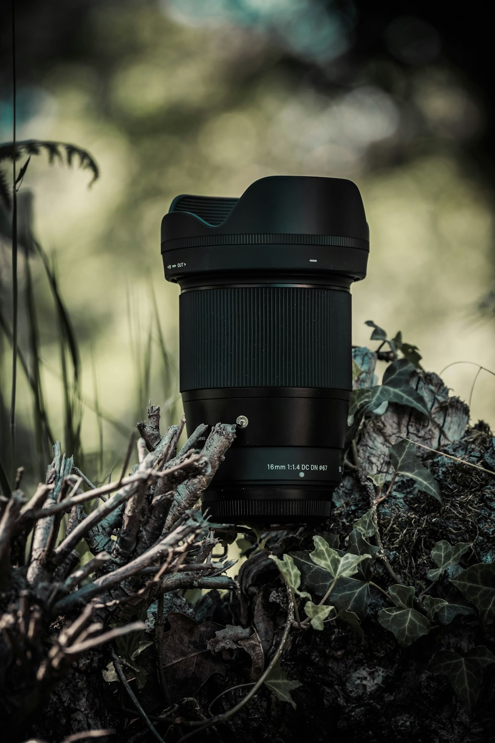 a black cylindrical object on a tree branch