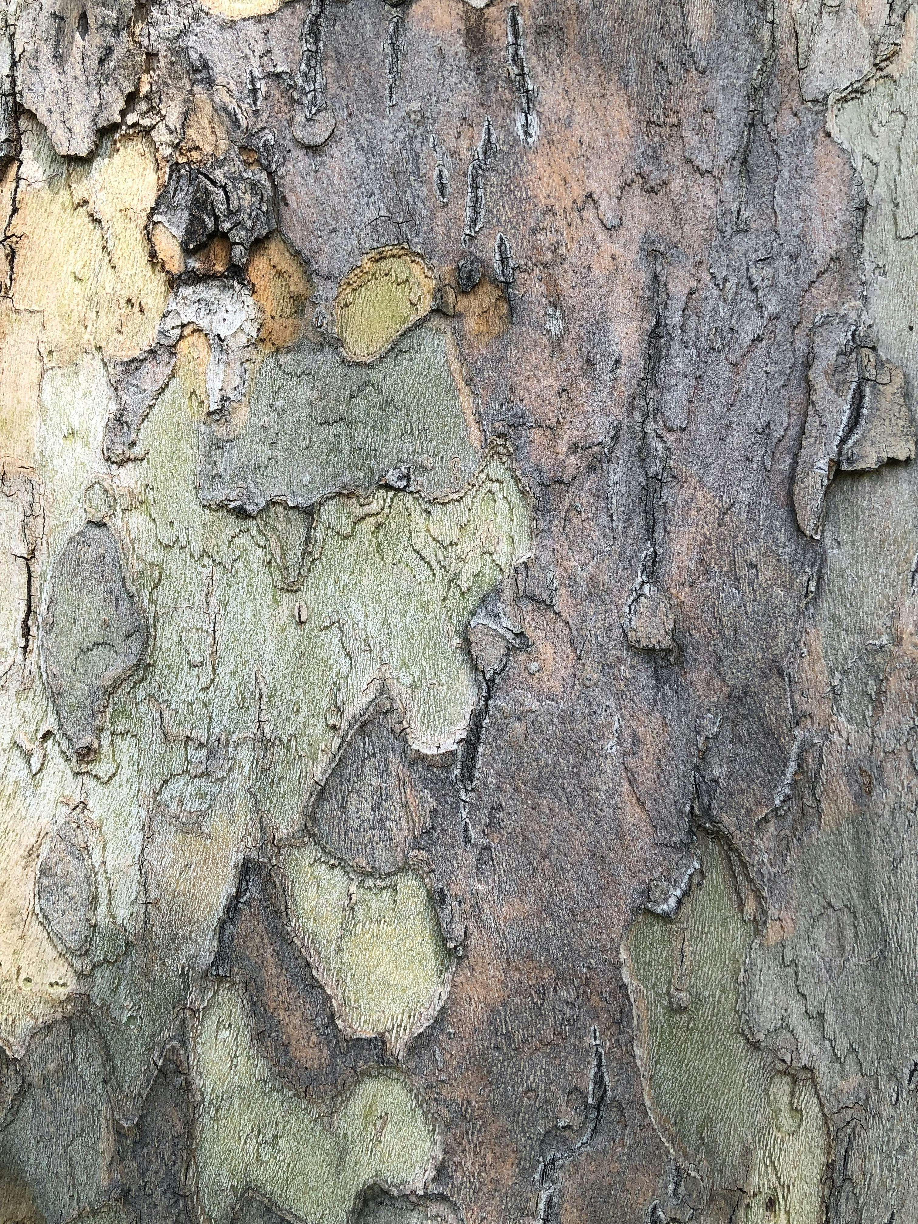 Photo by liberatetheimage