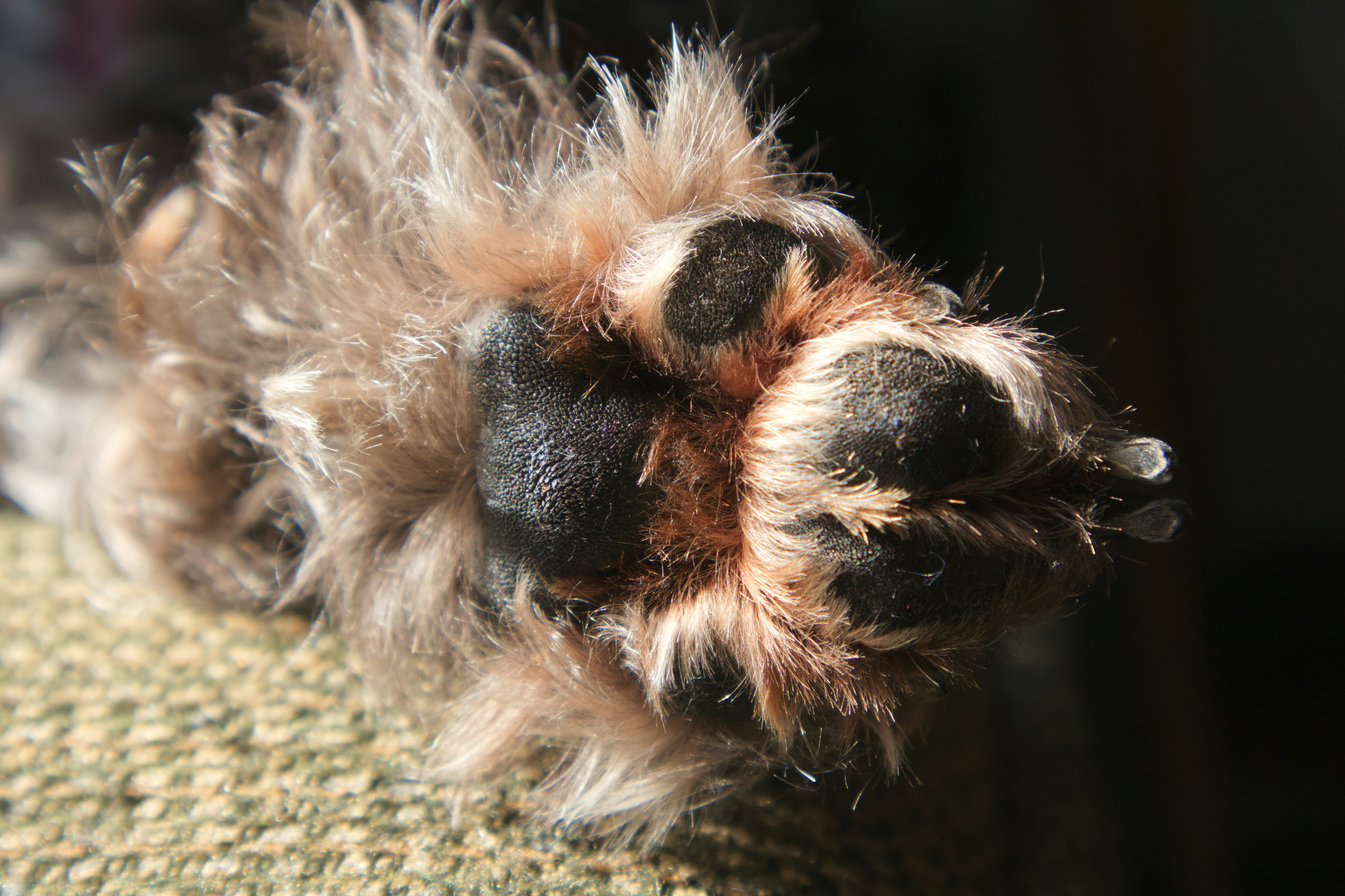 에스더 마그네슘이 수면장애 개선에 미치는 영향