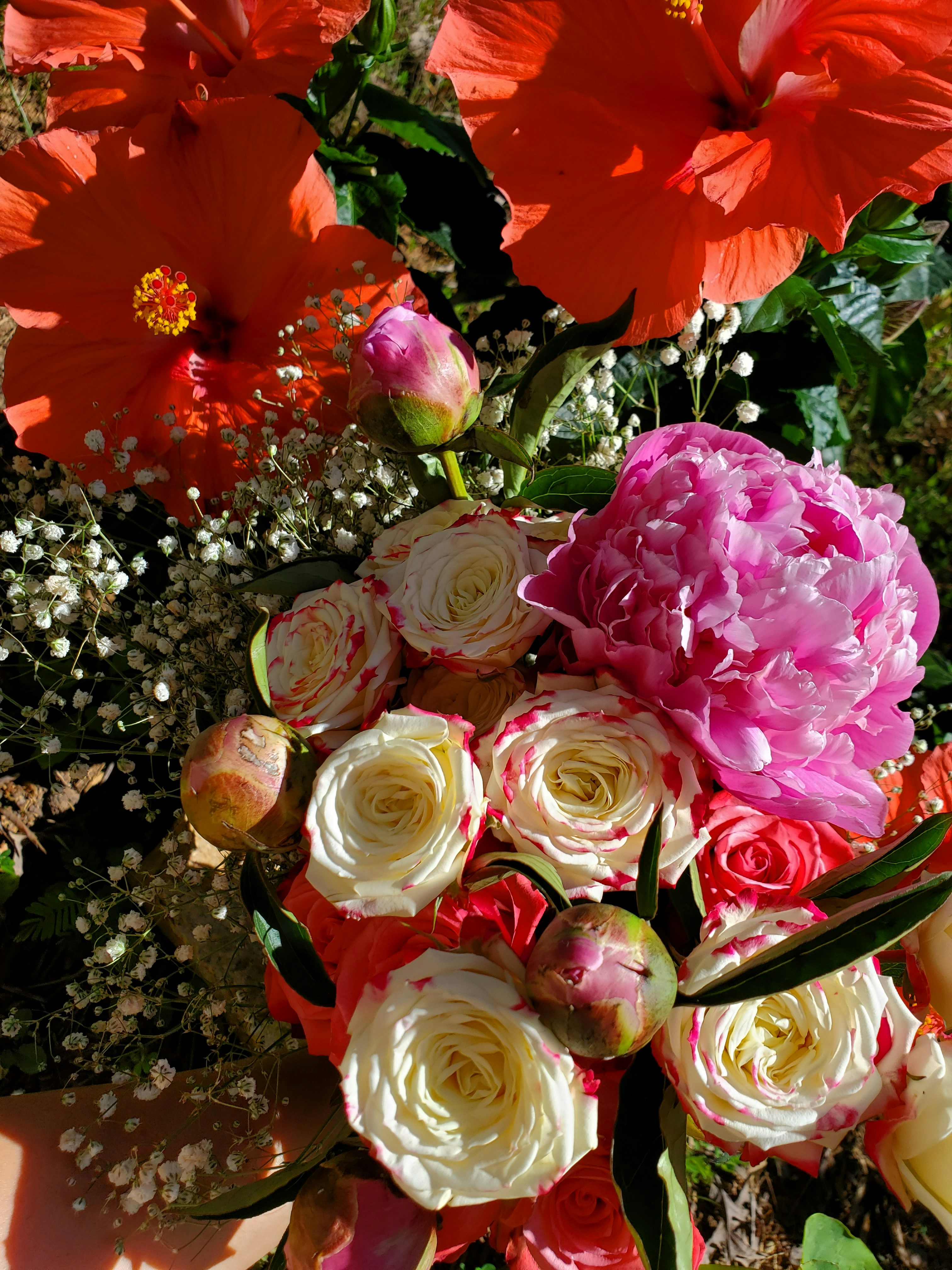 Photo by karolinabobek