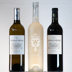 Three wine bottles are displayed side by side against a plain background. The left bottle is labeled as white wine, 'Le Blanc de Chateau de La Riviere Bordeaux Millesime 2020'. The center bottle has a frosted appearance with a lion emblem and the text 'Le Lion de La Riviere'. The right bottle is labeled as red wine, 'Grand Vin de Chateau de La Riviere Fronsac Millesime 2016'.