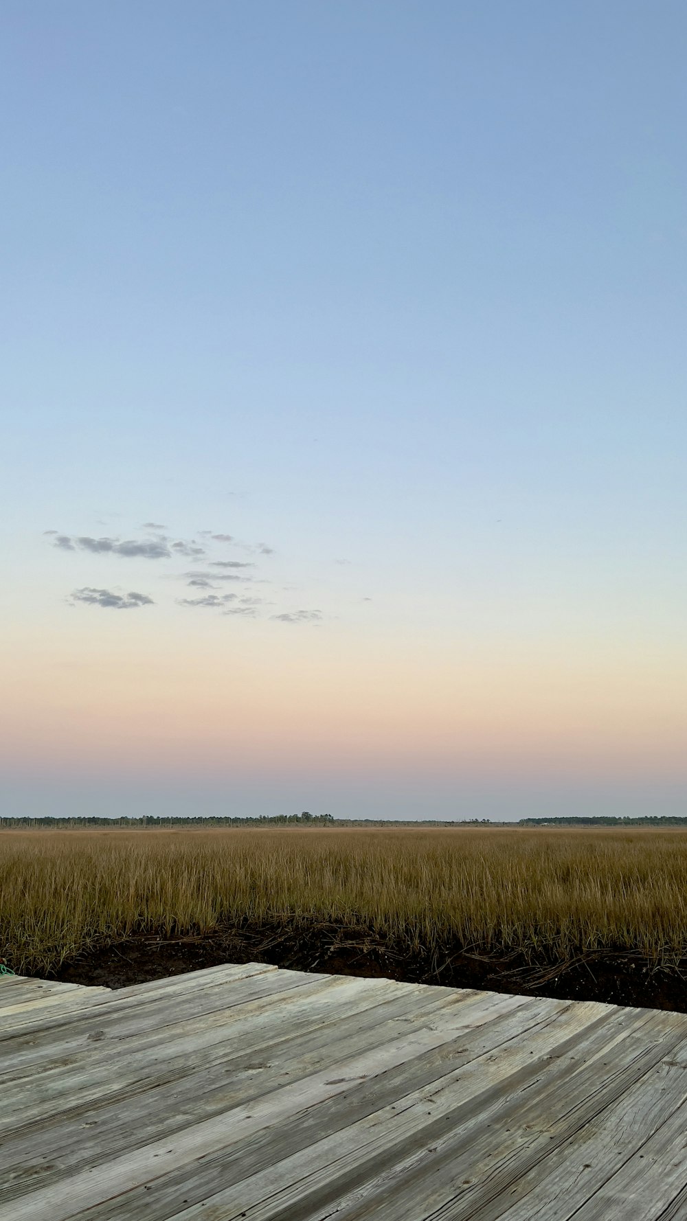 a sandy beach with grass and a blue sky