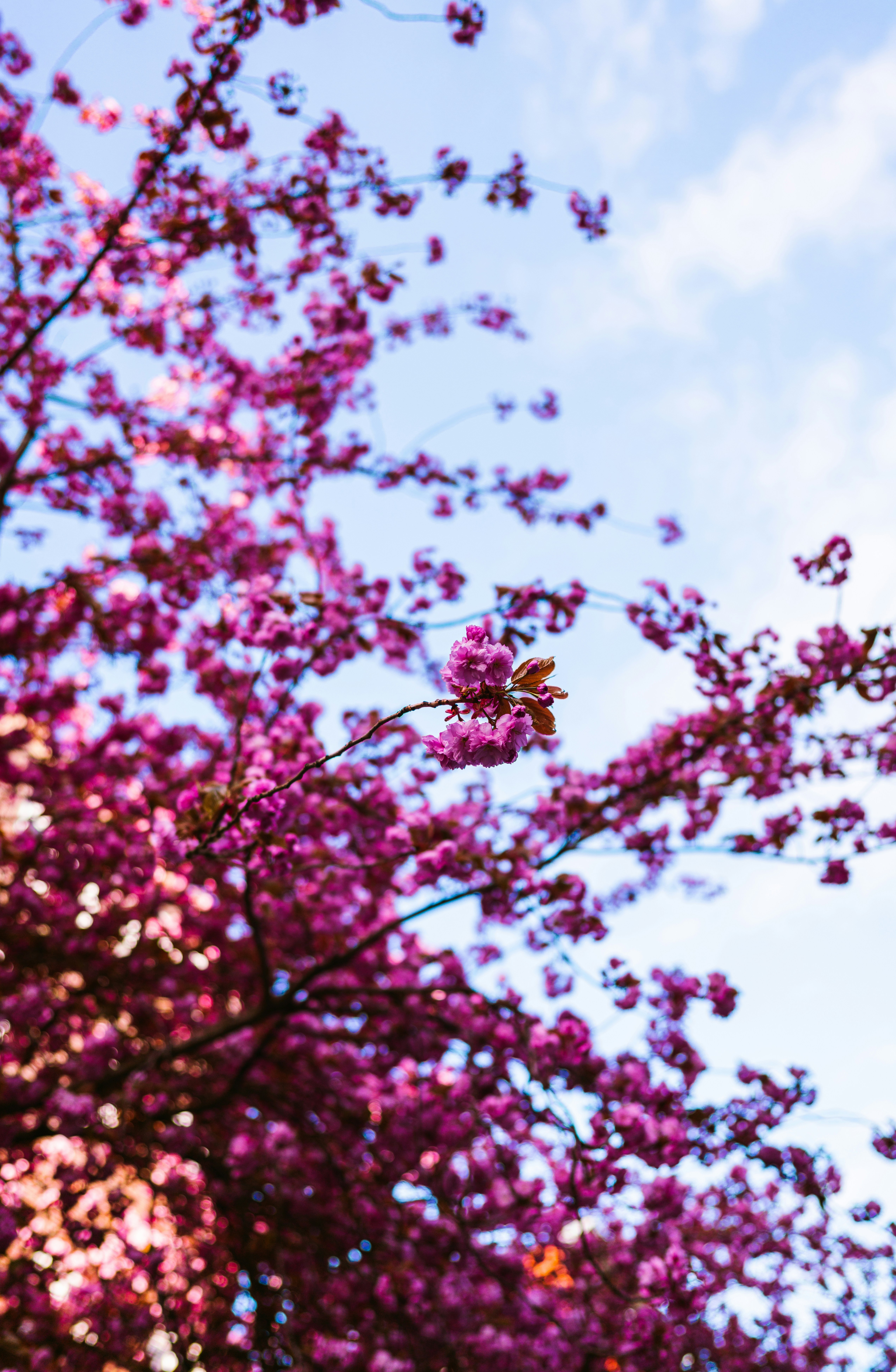 Photo by brunovdkraan