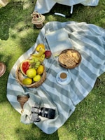 A picnic setup on a grassy area with a striped blanket. There are baskets containing fruits such as bananas and apples, a cut watermelon, and a selection of bread and cookies. An open book is placed next to a cup of coffee on a small saucer. Nearby, there is a camera and an ornate goblet.