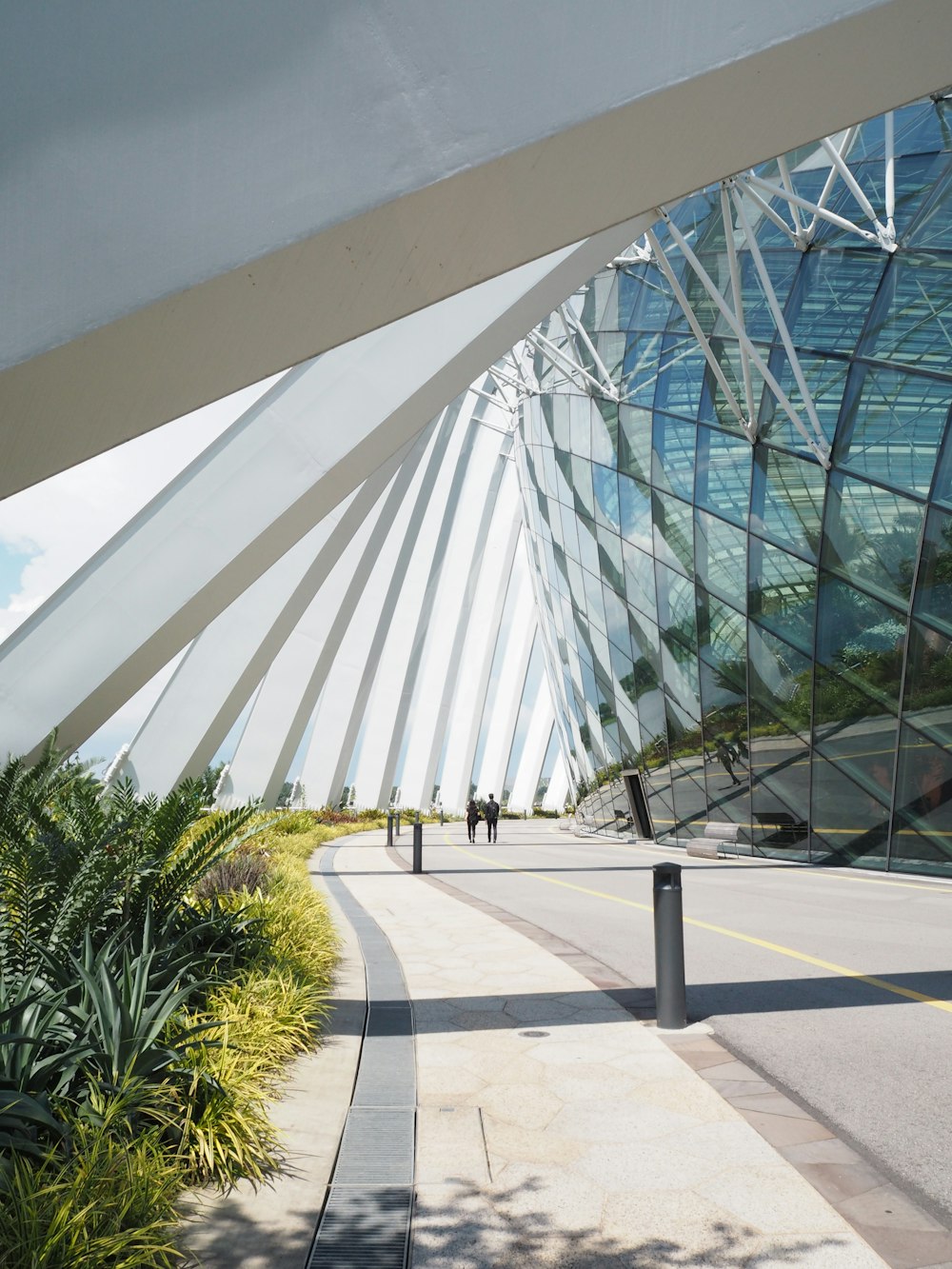 a walkway with glass walls