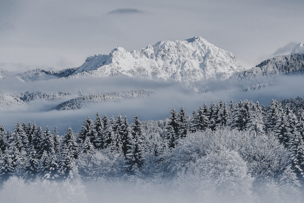 a man riding skis down a snow covered mountain