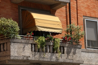 a flower pot on a ledge